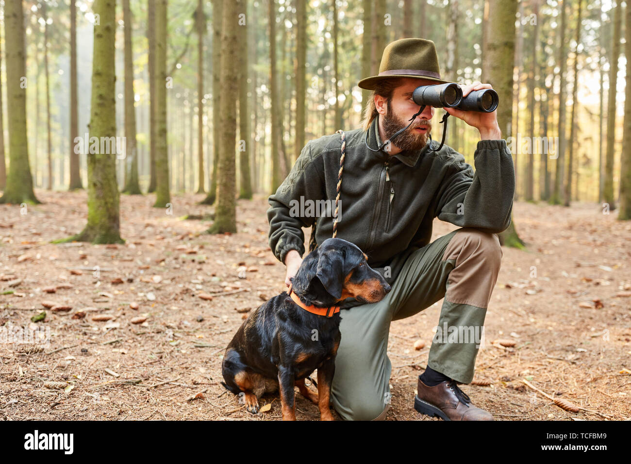 Chasseur ou le garde forestier de district avec hound comme un chien de chasse et de jumelles en attente dans l'Ansitz Banque D'Images