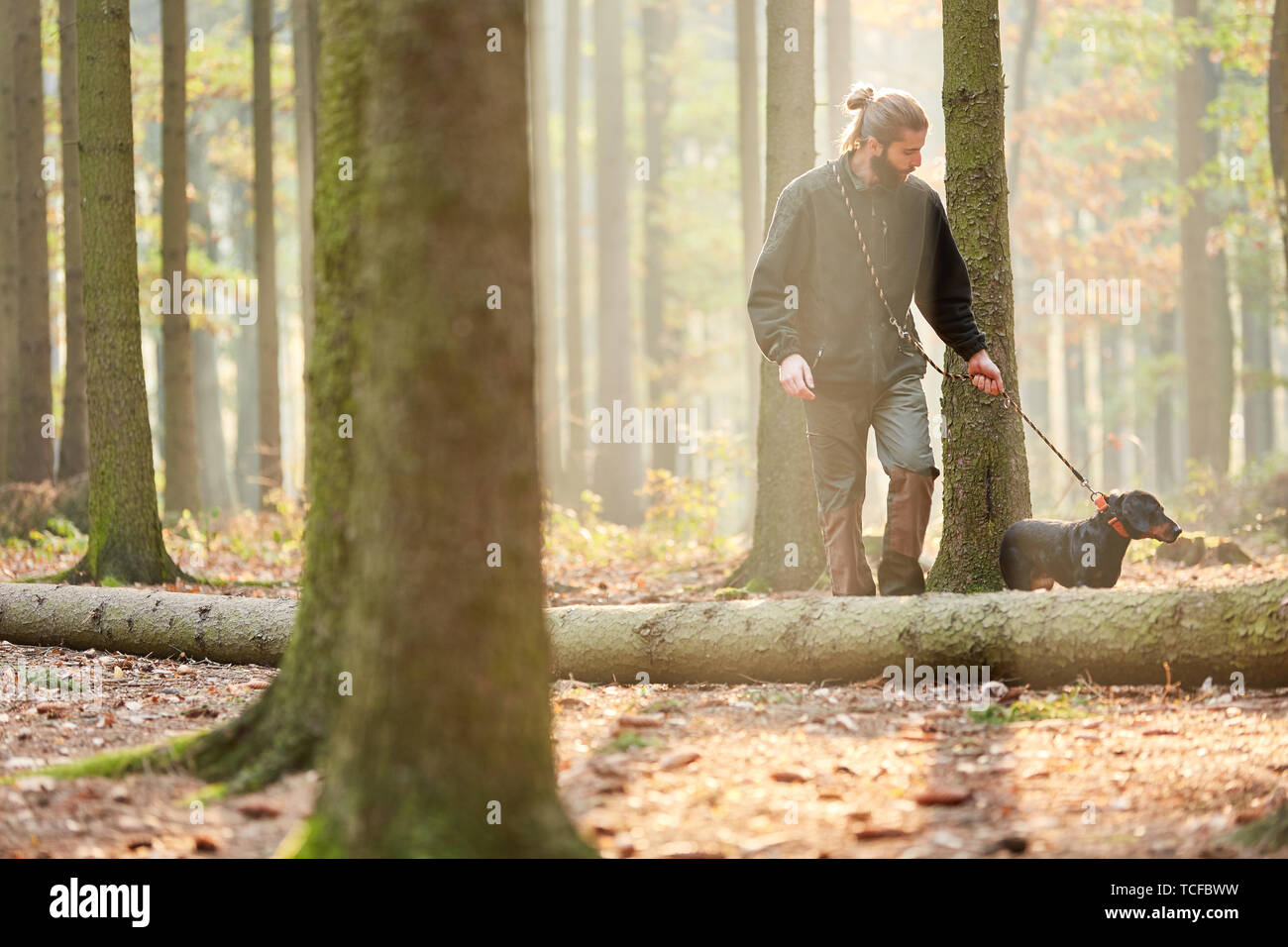 Ingénieur forestier ou du chasseur dans la forêt avec un chien comme un chien de chasse lors d'une promenade Banque D'Images
