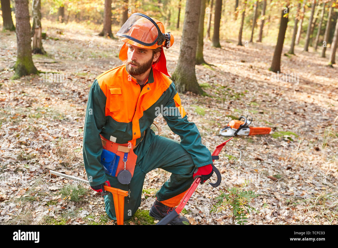 Travailleur forestier comme un bûcheron en vêtements de protection et des outils dans la forêt Banque D'Images