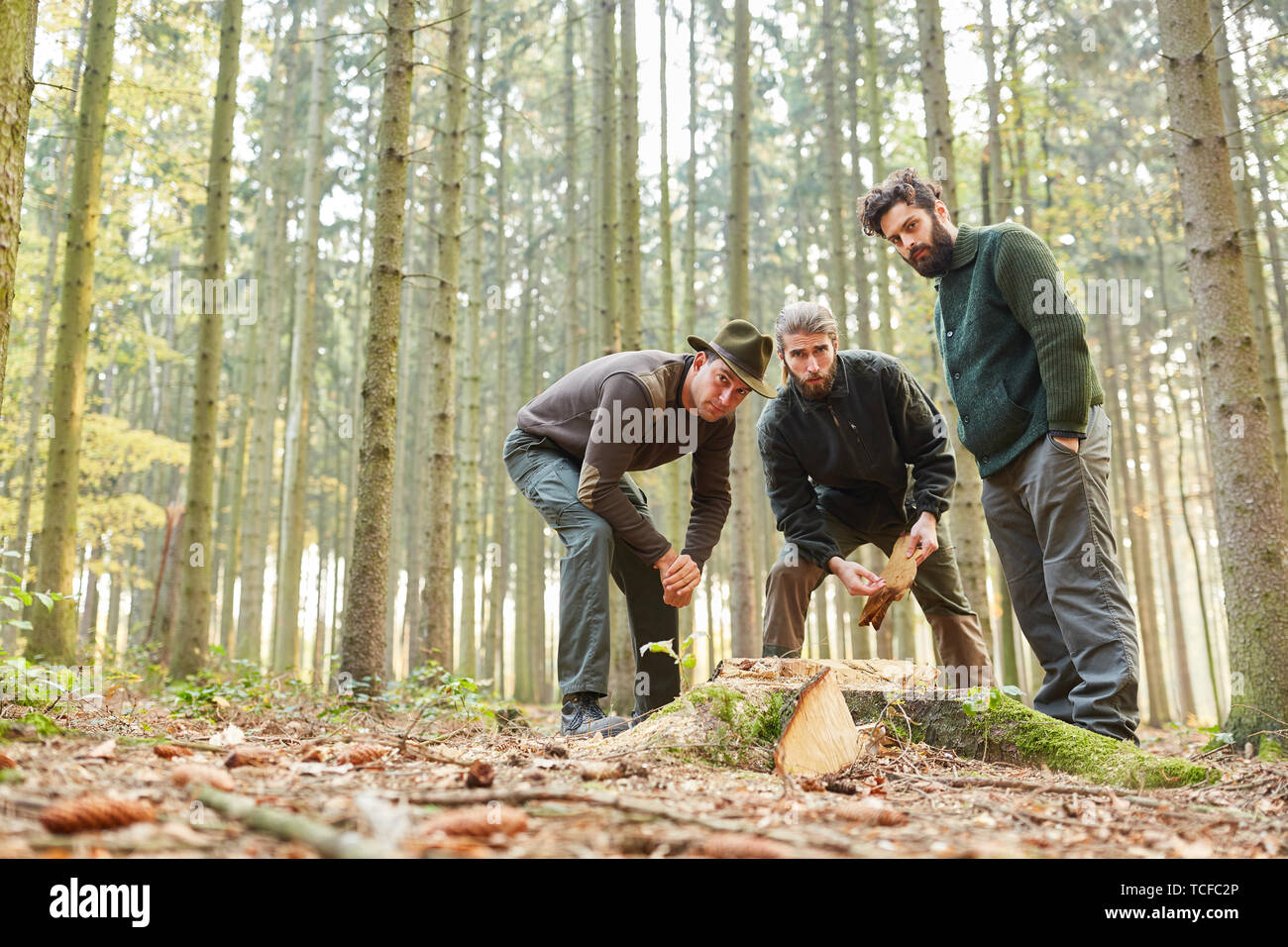 Förster équipe analyse la maladie des arbres et de dommages aux arbres arbre abattu Banque D'Images