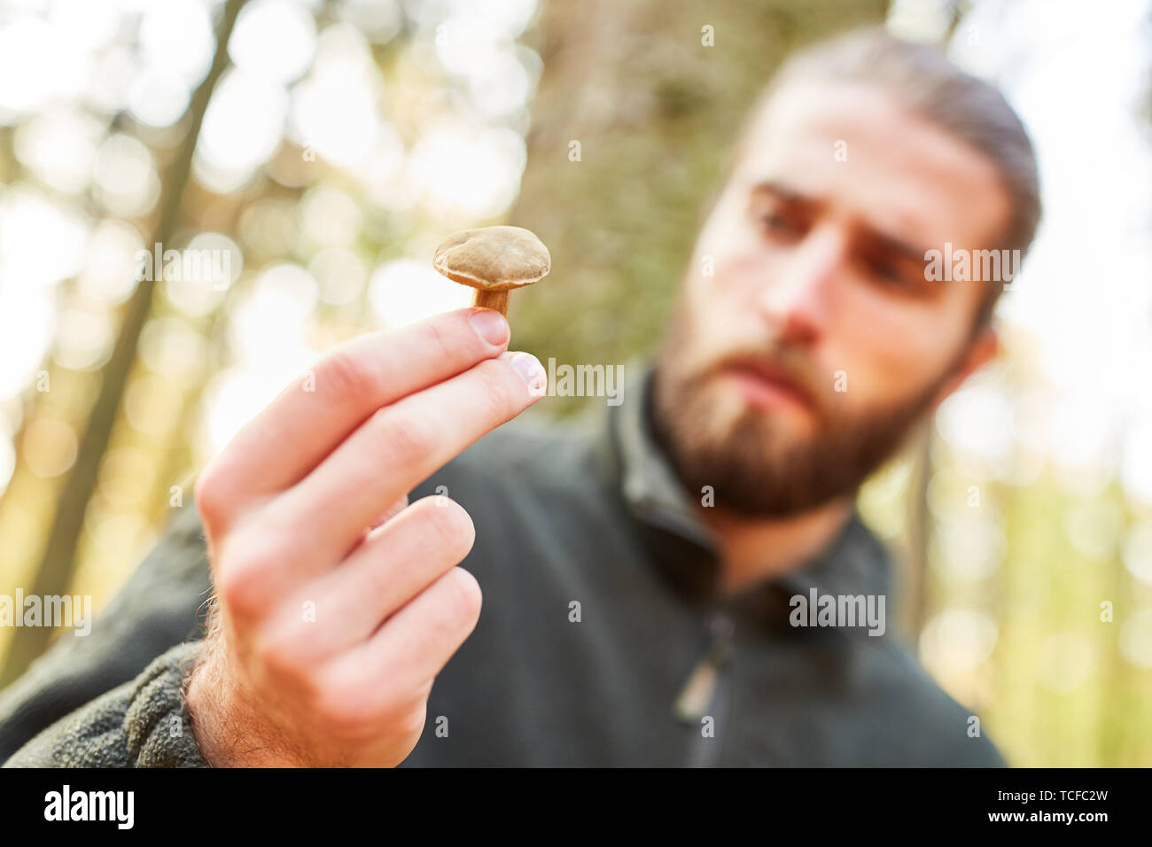 Förster est titulaire d'un arbre champignon comme une forêt ou d'un champignon comestible dans sa main Banque D'Images