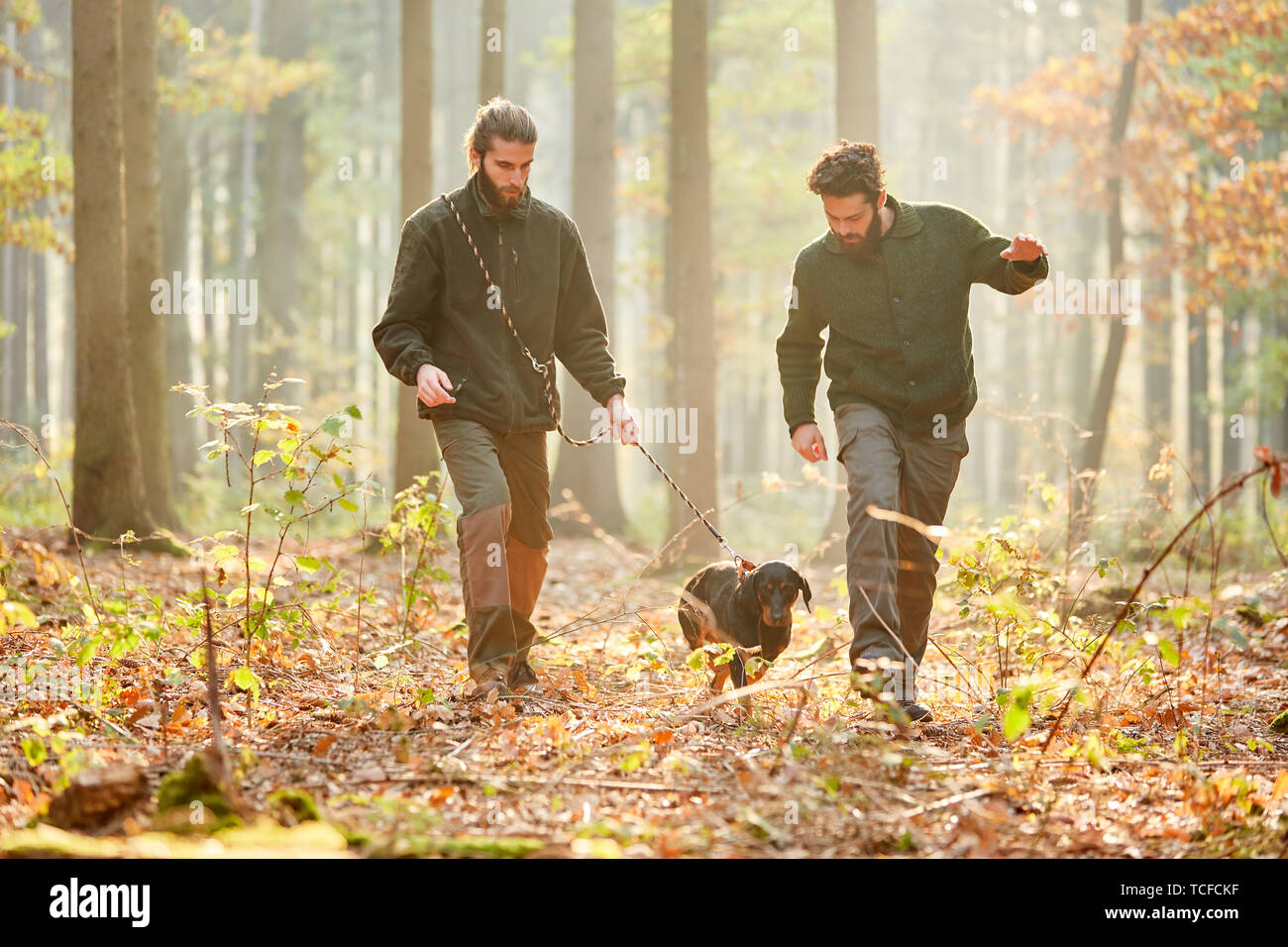 Deux chasseurs avec un faucon sur une chasse en automne dans la forêt ou forest district Banque D'Images