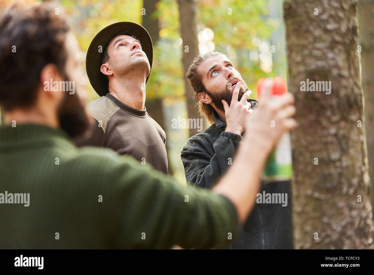 Les forestiers de la sélection et de marquage des trois arbres pour la récolte Banque D'Images