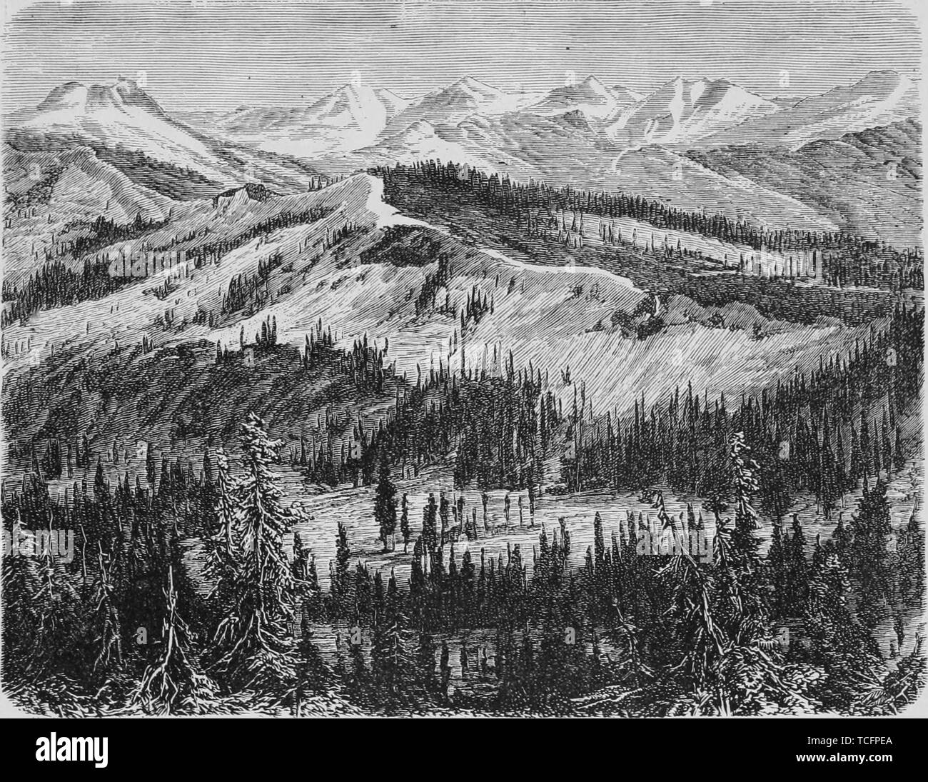 Gravure de la vallée et le sommet de la Sierra Nevada, en Californie, du livre 'Le Pacific tourist' par Henry T. Williams, 1878. Avec la permission de Internet Archive. () Banque D'Images