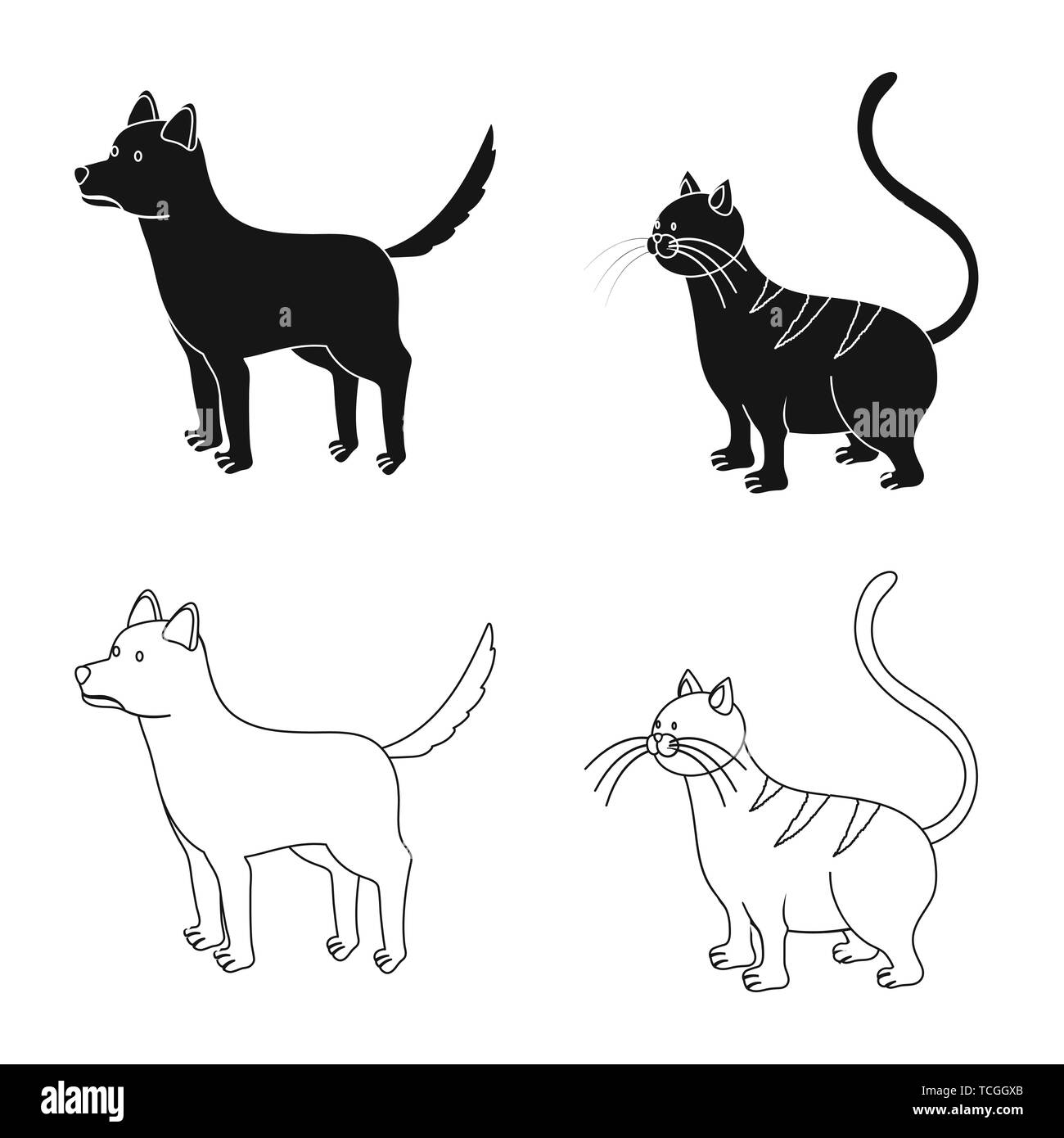 Comportement Du Chat Banque D Images Noir Et Blanc Alamy