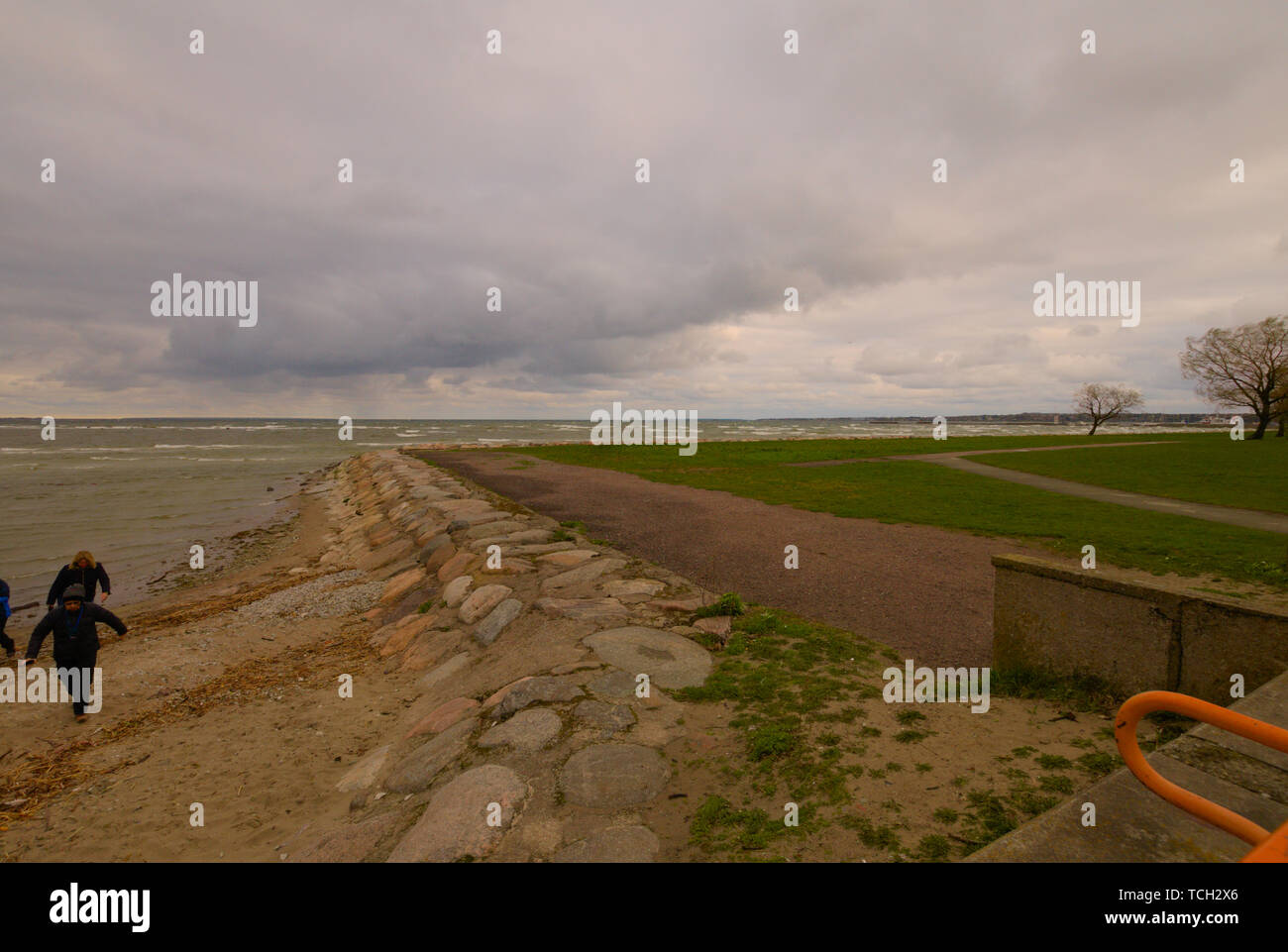 Un sentier côtier sur la côte Baltique près de Tallinn, Estonie Banque D'Images