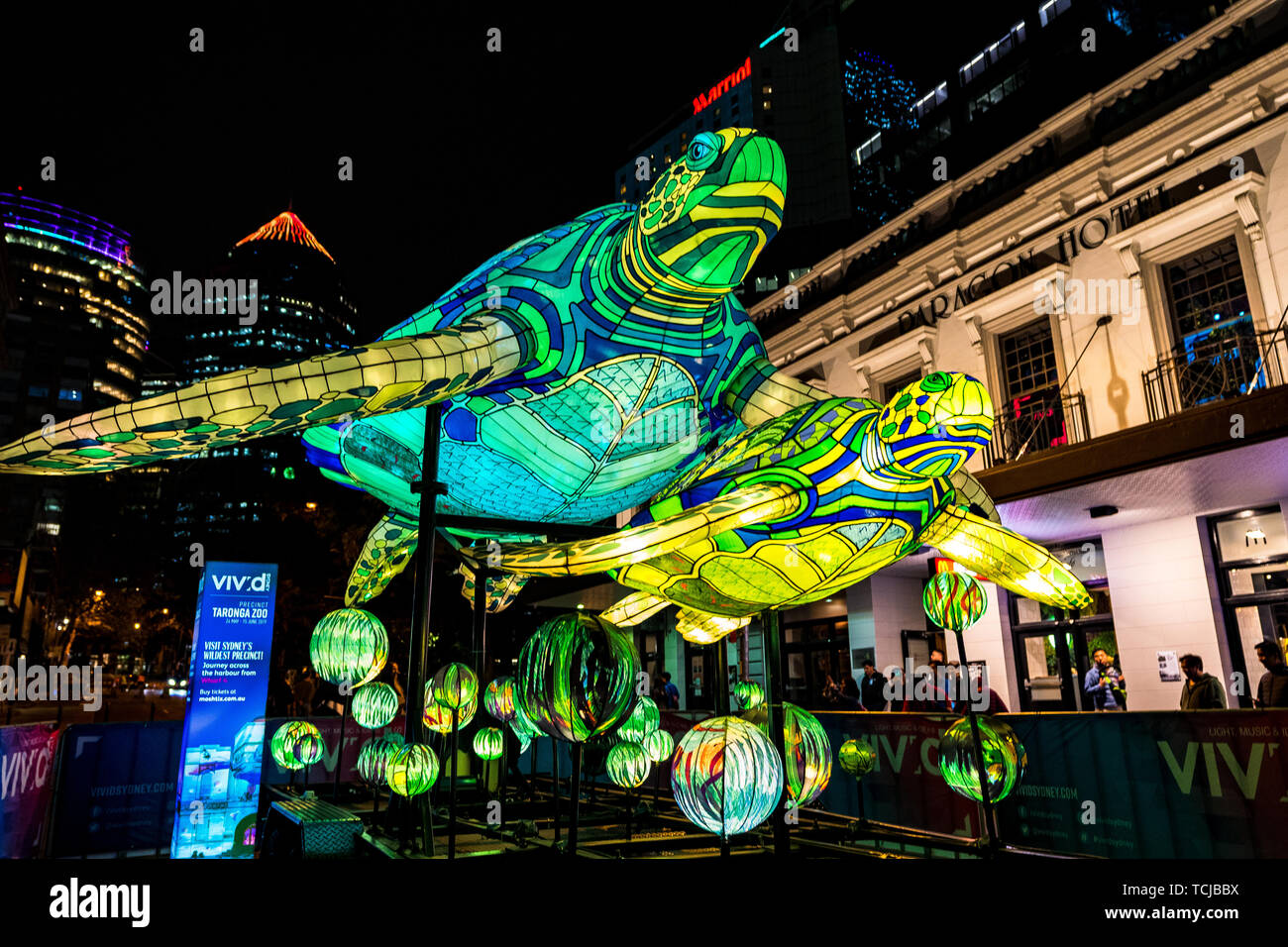 Installation de l'éclairage de tortues dans le cadre de couleurs vives à Sydney, Australie Banque D'Images