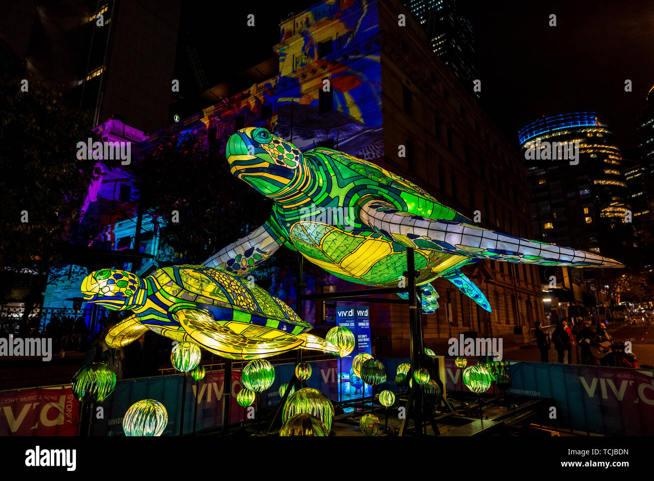 Installation de l'éclairage de tortues dans le cadre de couleurs vives à Sydney, Australie Banque D'Images