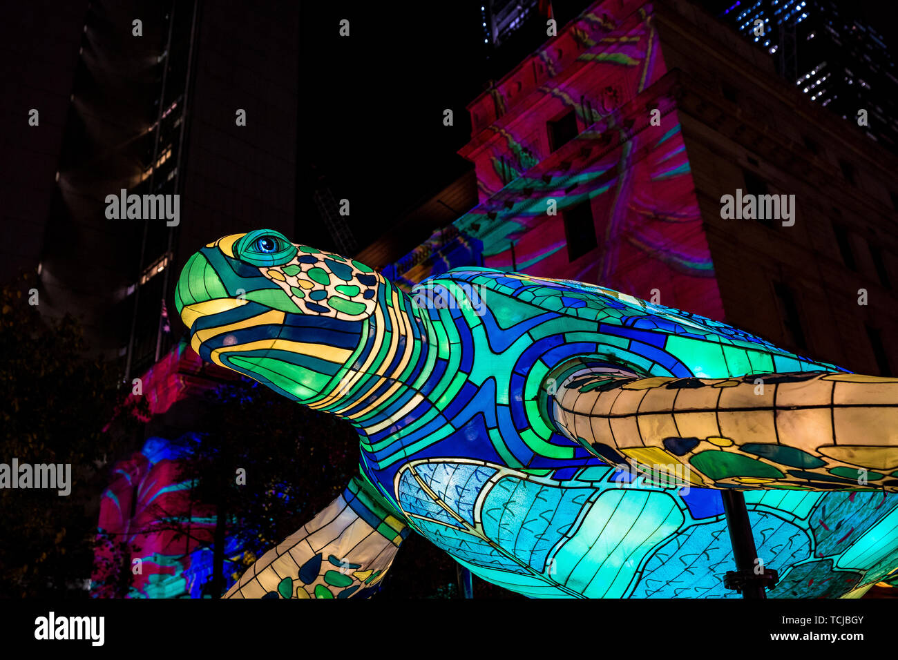 Installation de l'éclairage de tortues dans le cadre de couleurs vives à Sydney, Australie Banque D'Images