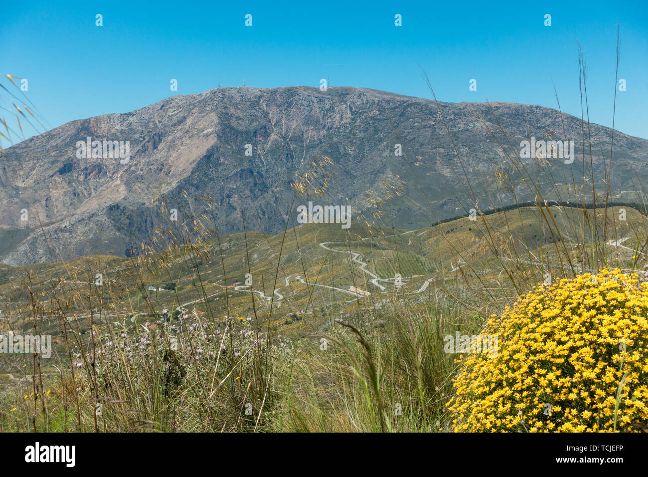 Très belle route de montagne sinueuse près de Rubite dans la Sierra Nevada, en Espagne, avec des fleurs sauvages Banque D'Images
