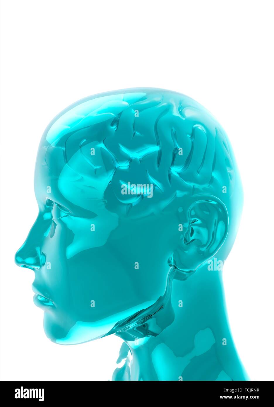 Tête humaine et le cerveau, illustration Banque D'Images