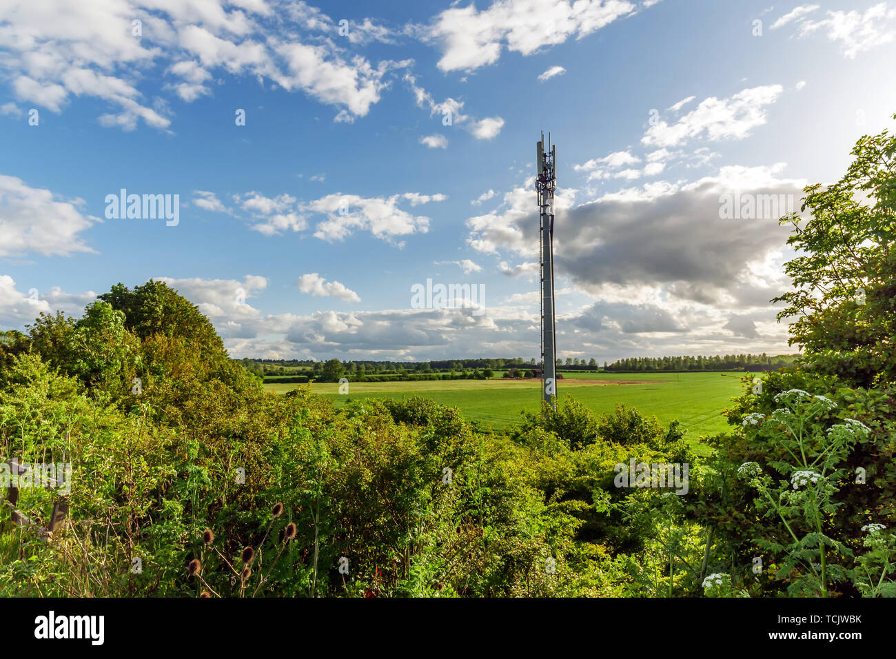 Vue sur le coucher de soleil de l'opérateur mobile britannique sur mât domaine. Banque D'Images