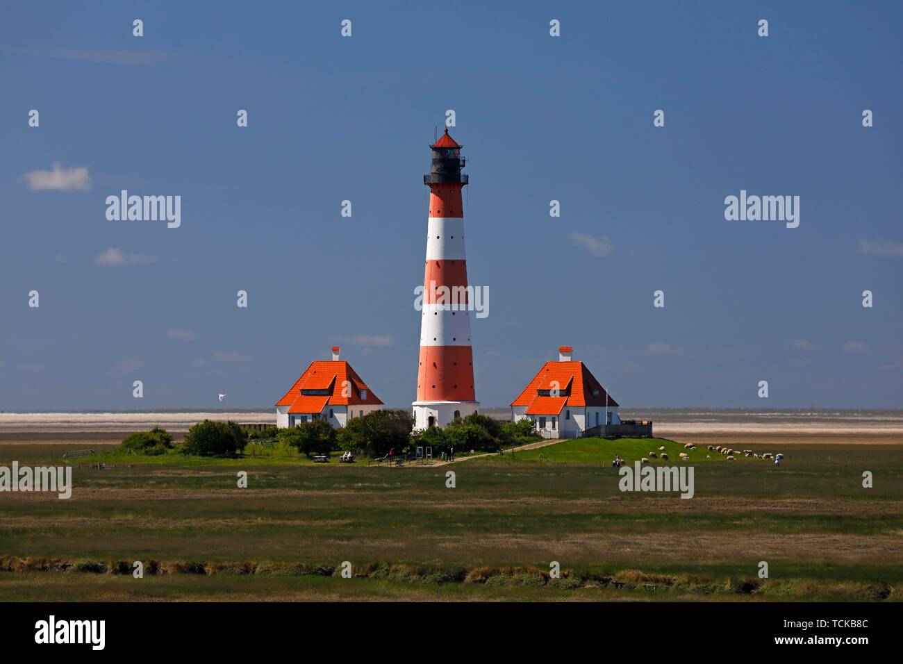 Westerheversand phare dans le parc national de la mer des Wadden, Büsum Schleswig-Holstein, péninsule Eiderstedt, Frise du Nord, Schleswig-Holstein Banque D'Images