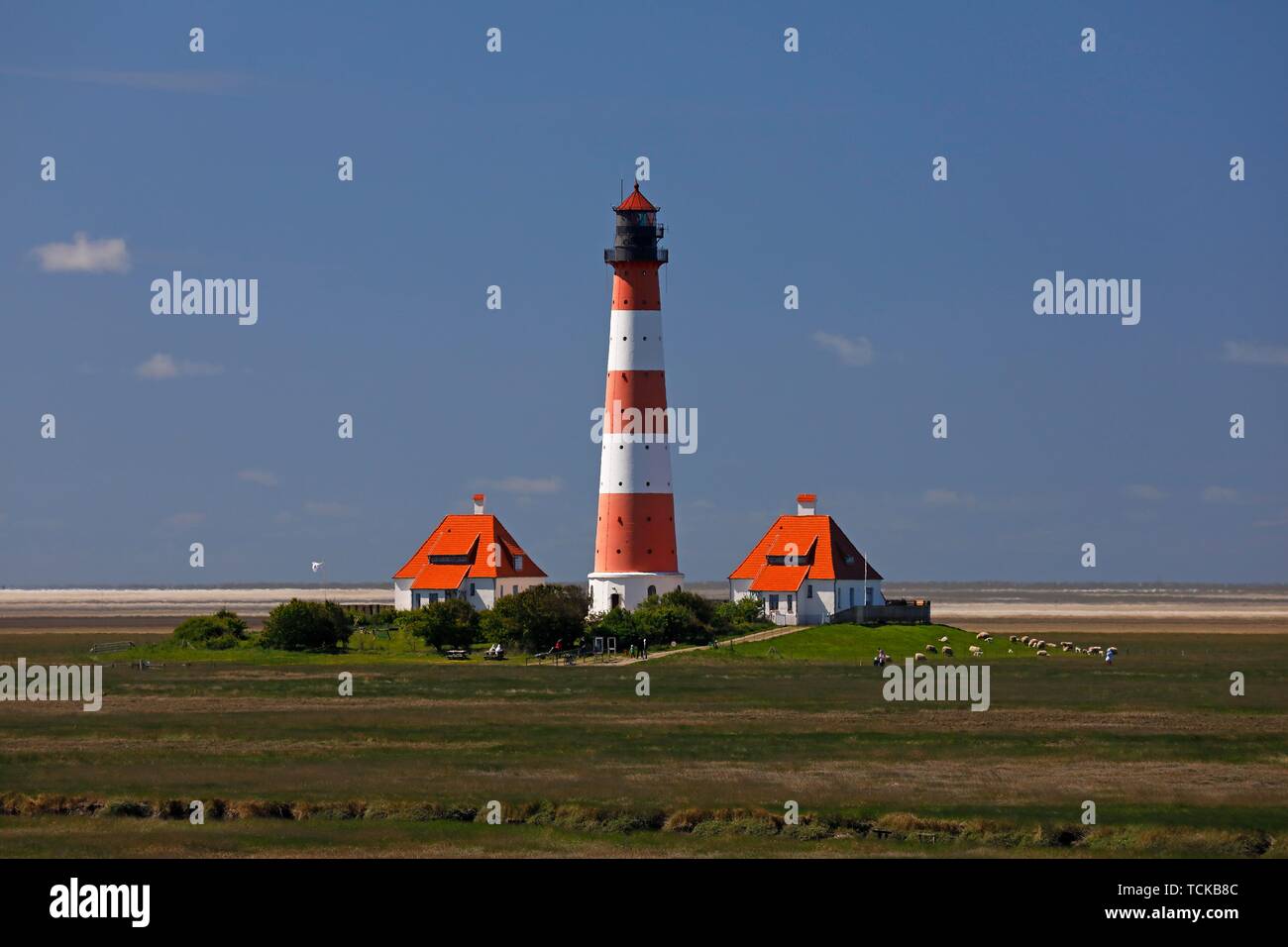 Westerheversand phare dans le parc national de la mer des Wadden, Büsum Schleswig-Holstein, péninsule Eiderstedt, Frise du Nord, Schleswig-Holstein Banque D'Images Westerheversand phare dans le parc national de la mer des Wadden, Büsum Schleswig-Holstein, péninsule Eiderstedt, Frise du Nord, Schleswig-Holstein Banque D'Images
