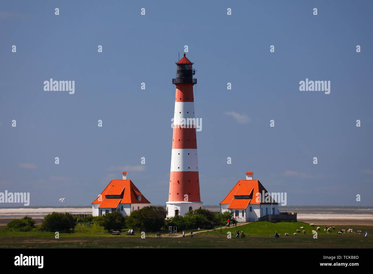 Westerheversand phare, Schleswig-Holstein mer des Wadden Parc National, Büsum, Eiderstedt Péninsule, Frise du Nord, Schleswig-Holstein, Allemagne Banque D'Images