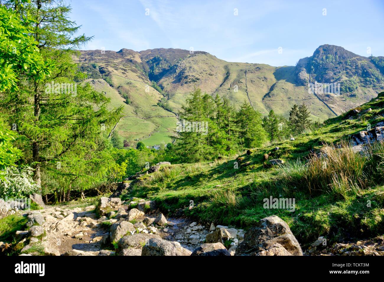 Avis de Langdale dans Lake District au Royaume-Uni en soir soleil avec muret de pierres sèches et rocky path en premier plan Banque D'Images