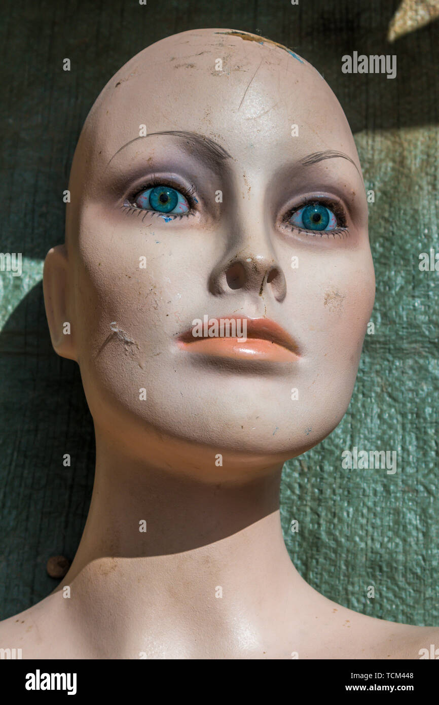 Female mannequin head avec les yeux grand ouverts et pas de cheveux Banque D'Images