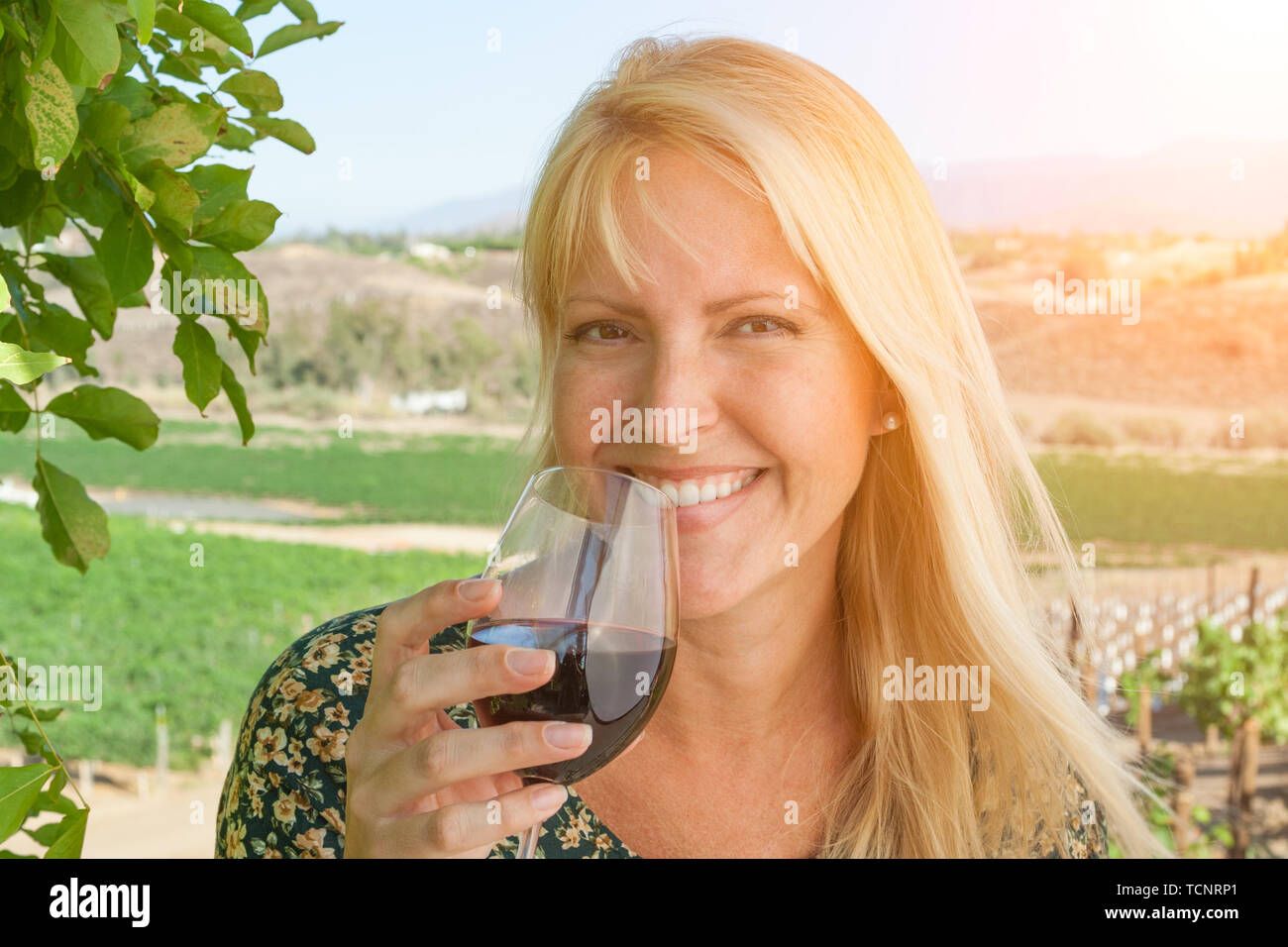 Belle Jeune femme adulte bénéficiant d'verre de dégustation de vin dans le vignoble. Banque D'Images