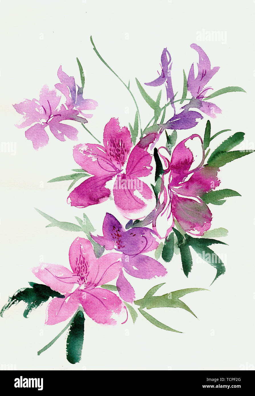 Des fleurs, des fleurs Les fleurs de la mer, des fleurs, des fleurs belles fleurs fleurs pourpre violette mer paysage pastoral de champ champ de fleurs romantique fleur pourpre violet romantique de la mer la mer de fleurs Aquarelle peint à la main Banque D'Images
