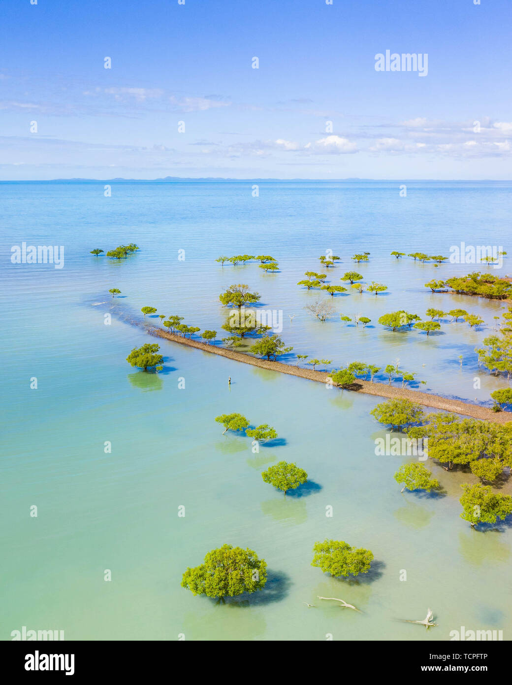 Les mangroves tropicales paysage aérien avec de belles couleur turquoise, la végétation des arbres tropicaux en Australie Banque D'Images