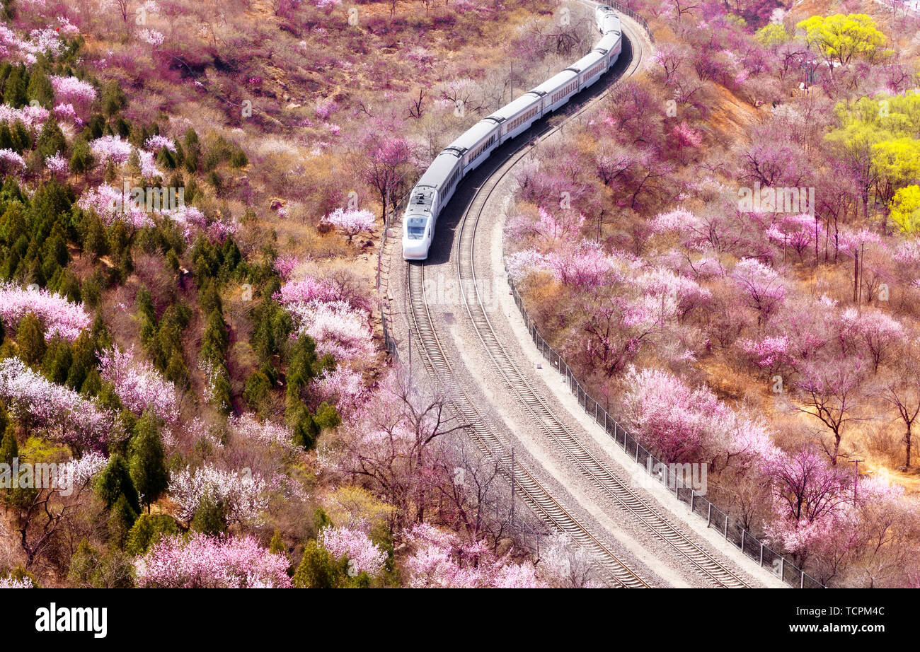 Fer Beijing-Zhang à Beijing, Chine, le train pour le printemps Banque D'Images