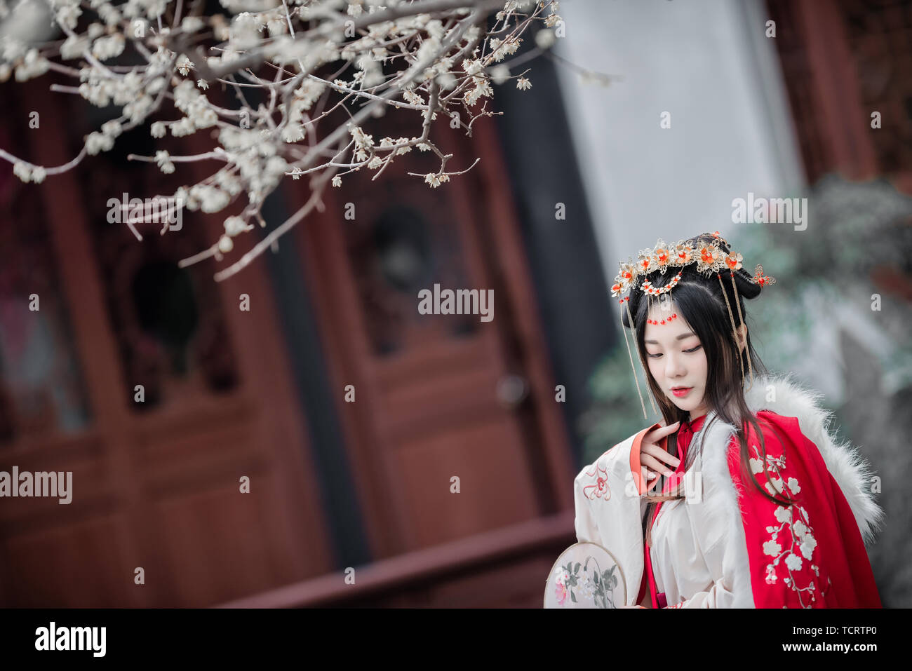 Costume ancienne beauté vêtements chinois ancien style Chinese style portrait petit prunier d'hiver frais Banque D'Images
