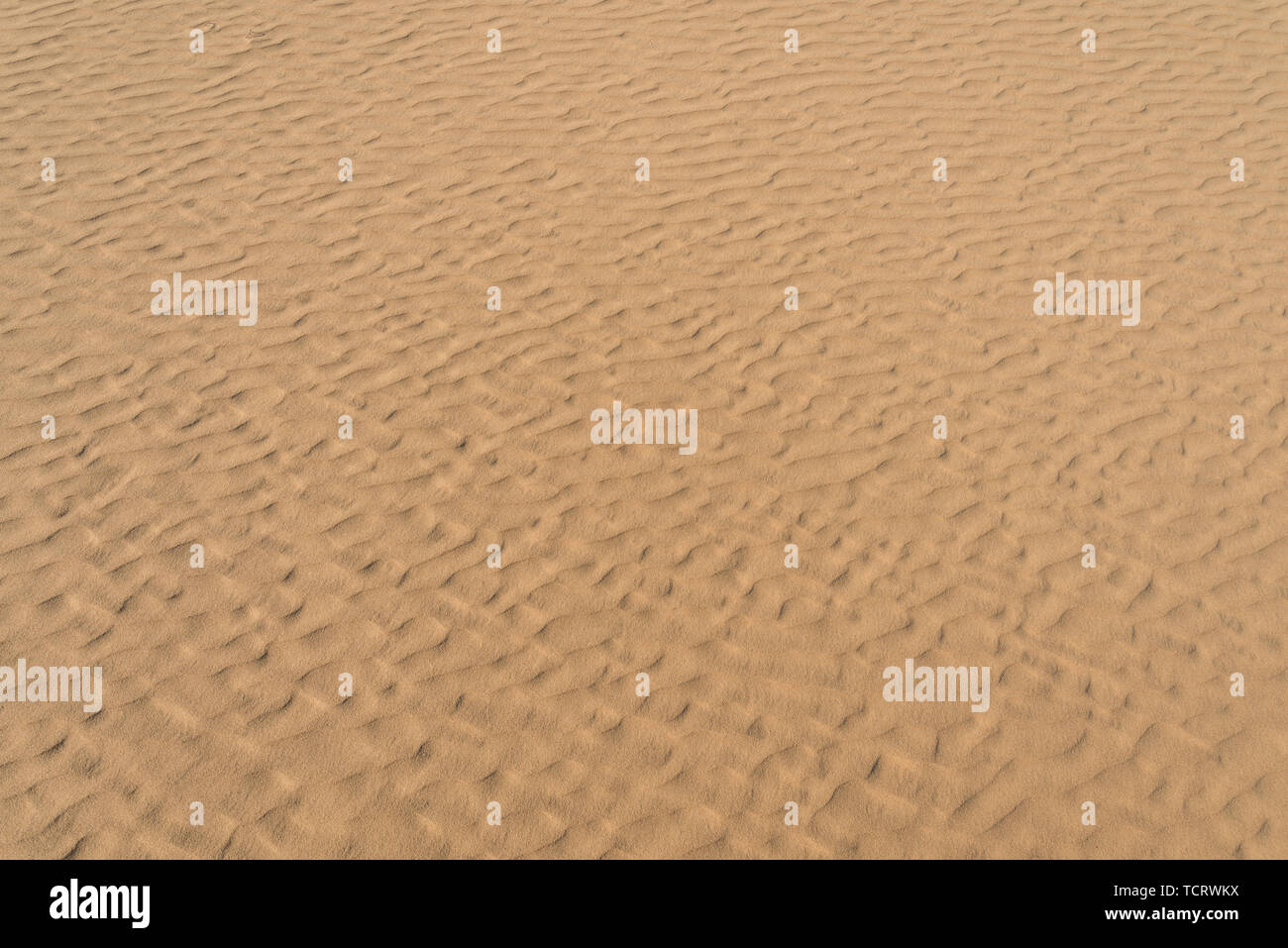 Desert texture background libre Banque D'Images