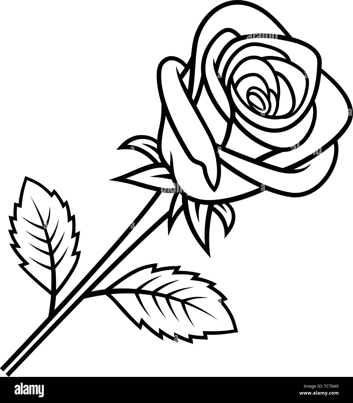 Croquis de Rose isolé sur fond blanc. Pour utiliser le motif du tissu, tatouage, motif et de décorer des cartes de vœux, invitations Illustration de Vecteur