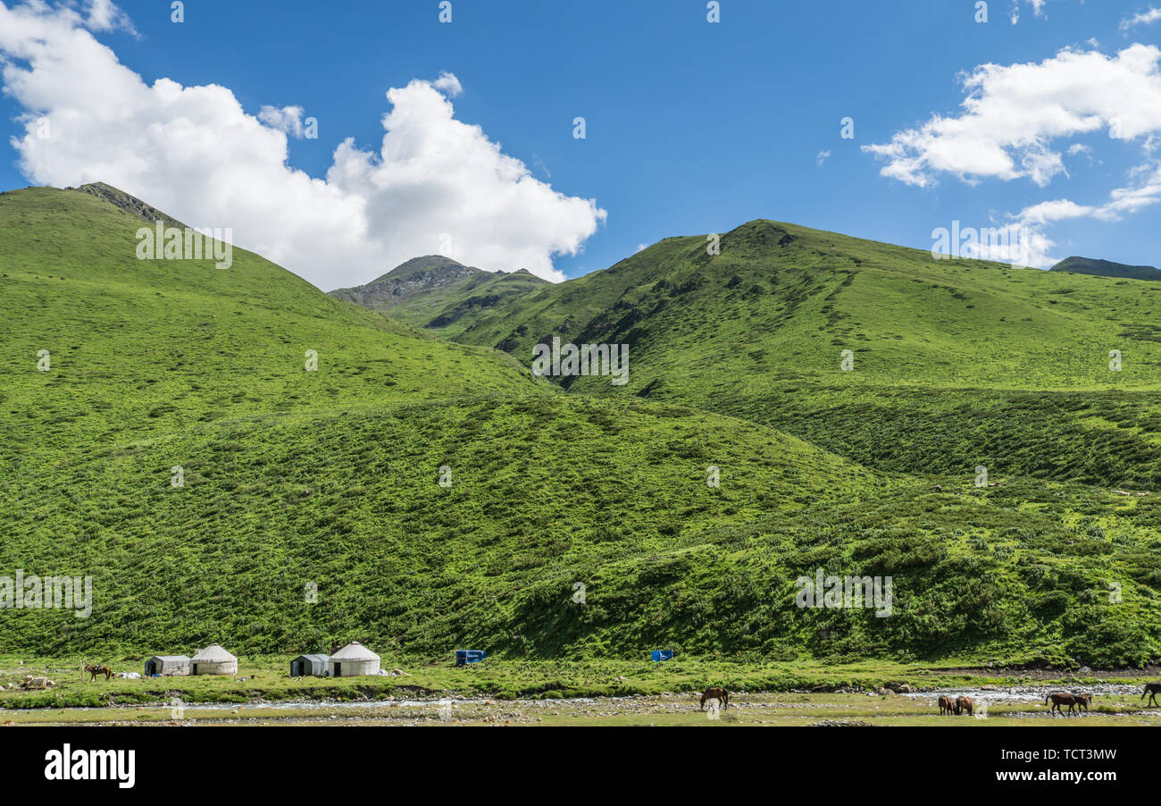 Les prairies alpines le long de la G217 Duku sous l'autoroute l'été, ciel bleu et nuages blancs dans le Xinjiang, Chine Banque D'Images