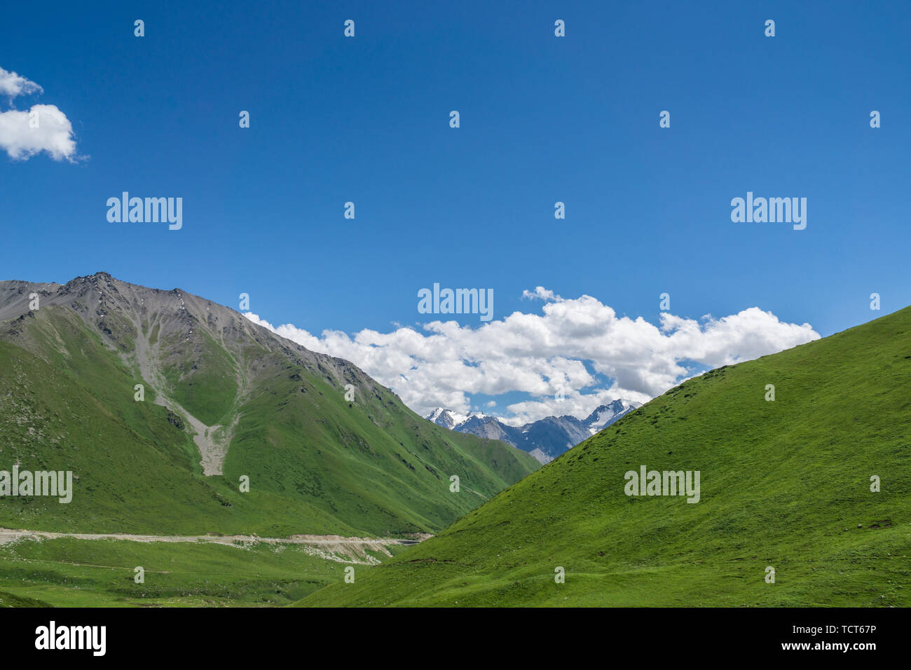 Les prairies alpines le long de la G217 Duku sous l'autoroute l'été, ciel bleu et nuages blancs dans le Xinjiang, Chine Banque D'Images