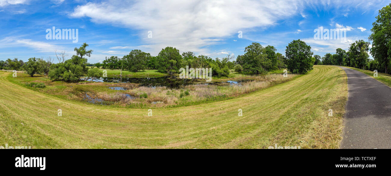 Reitwein, Allemagne. 09Th Juin, 2019. Le cycle d'Oder-Neisse chemin sur la digue près de la frontière germano-polonaise Oder (Attention : panorama à partir de plusieurs photos). Crédit : Patrick Pleul/dpa-Zentralbild/ZB/dpa/Alamy Live News Banque D'Images