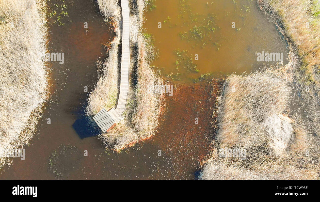 Vue aérienne d'un chemin en bois sur un marais dans le parc naturel des zones humides La Marjal Pego dans et Oliva, Espagne. Banque D'Images