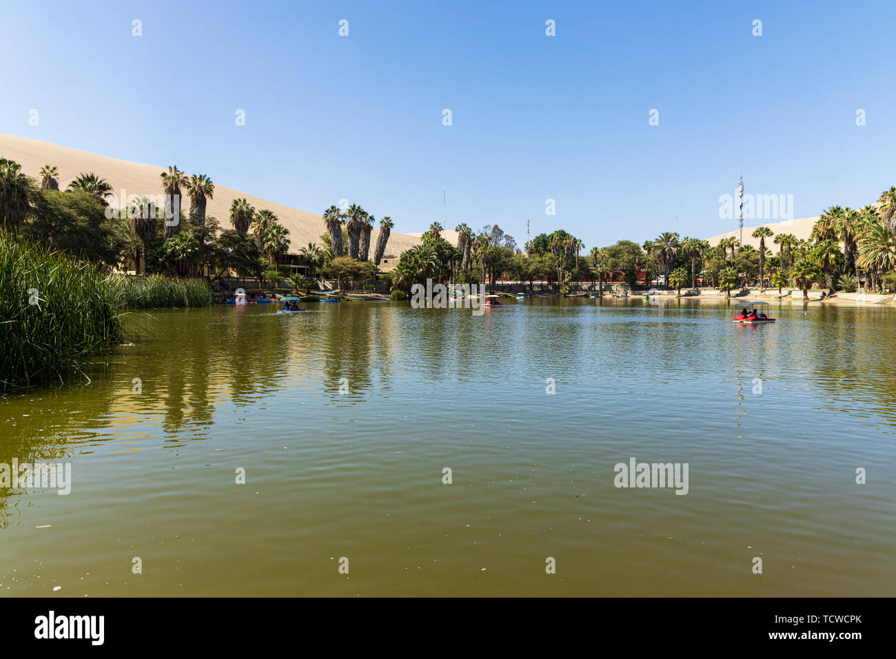 L'oasis de Huacachina, entouré de palmiers, le Pérou, Amérique du Sud Banque D'Images
