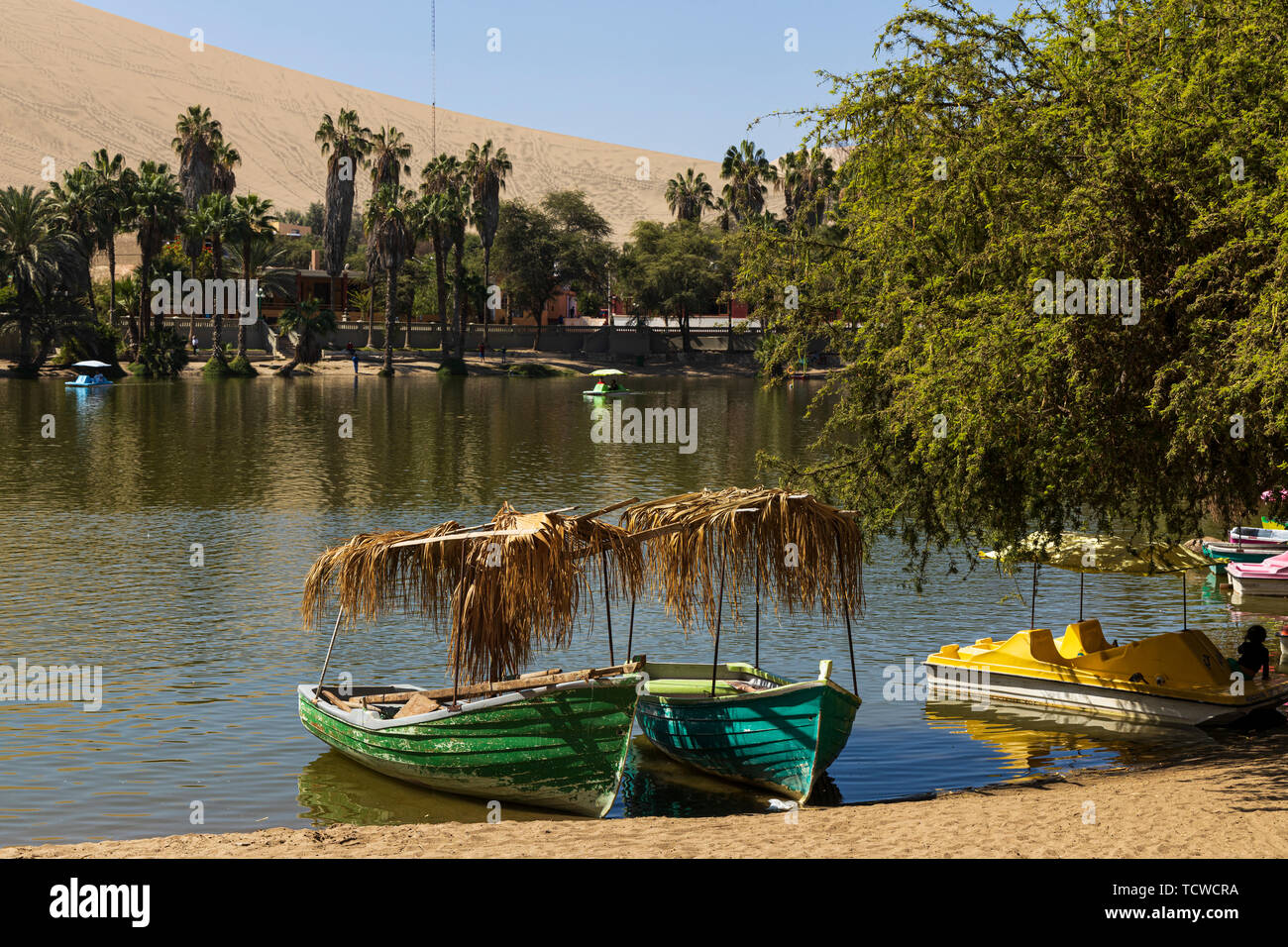 L'oasis de Huacachina, entouré de palmiers, le Pérou, Amérique du Sud Banque D'Images