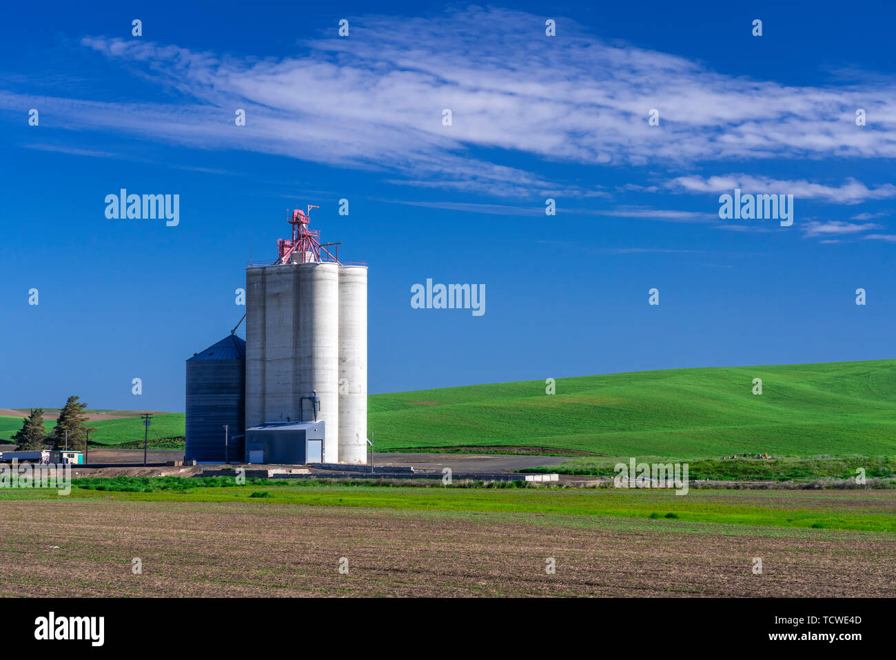 Un ascenseur du stockage du grain dans les collines de la Palouse, Washington, USA. Banque D'Images