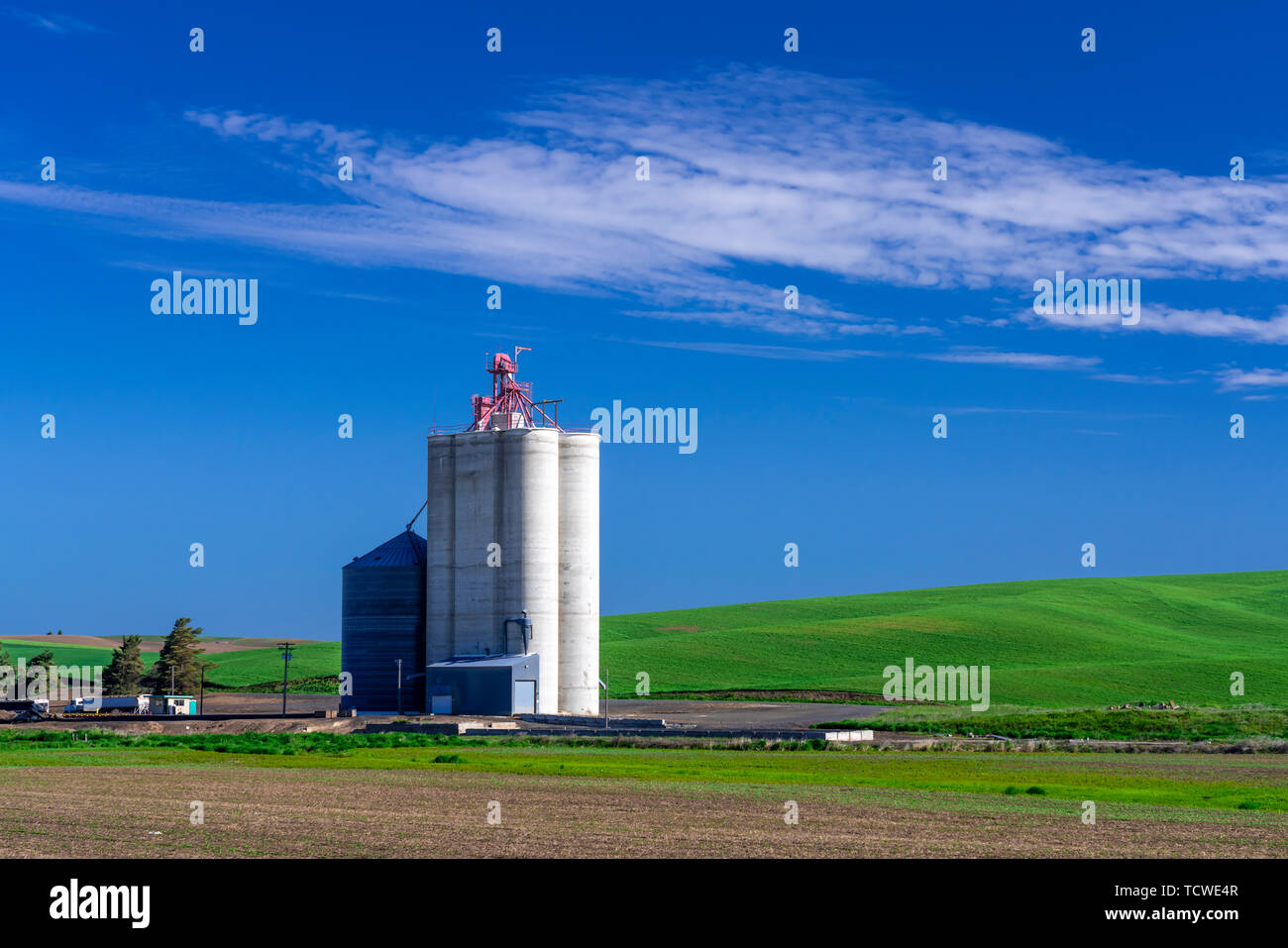Un ascenseur du stockage du grain dans les collines de la Palouse, Washington, USA. Banque D'Images