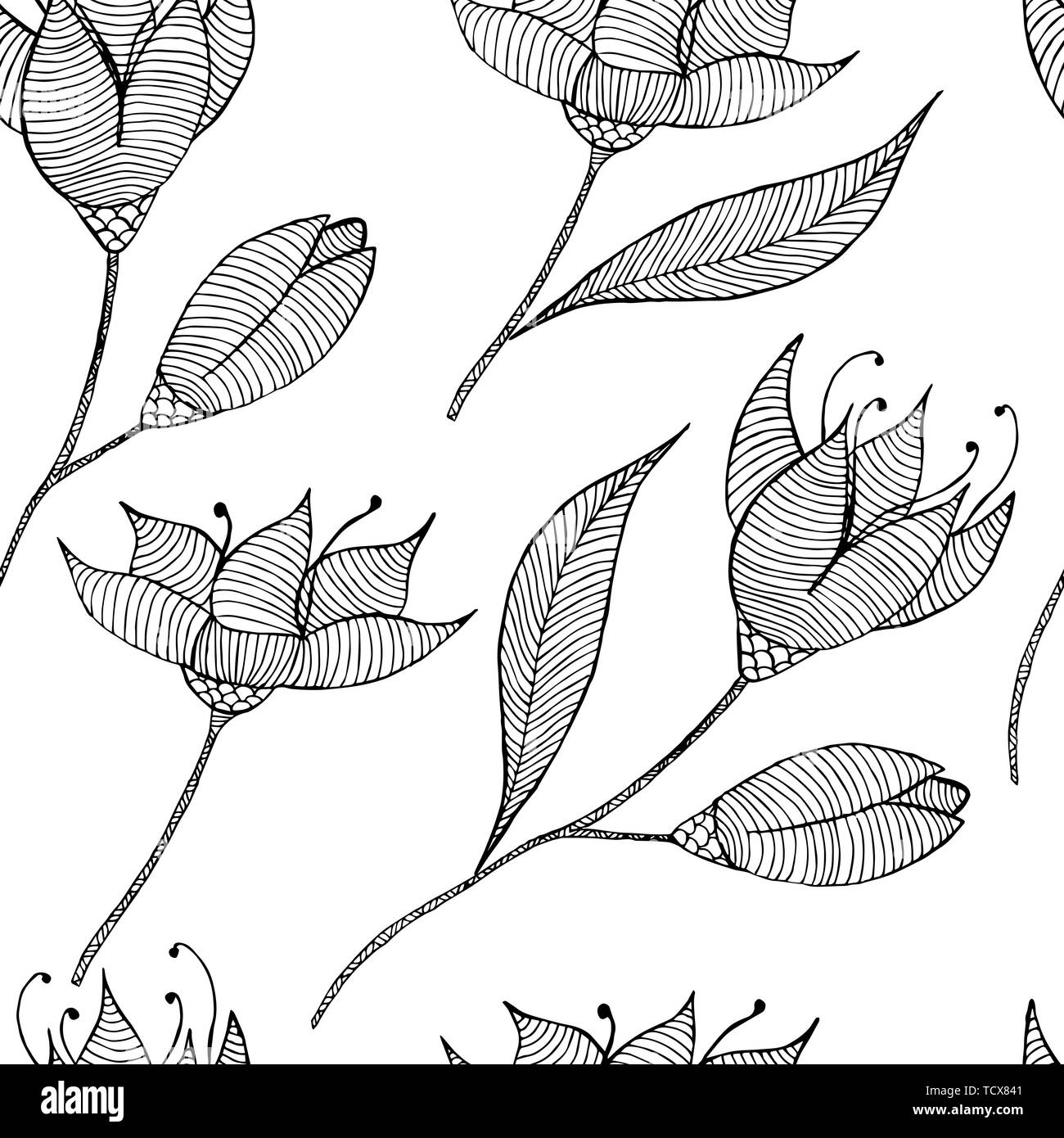 Transparent noir et blanc, texture botanique fleurs illustrations détaillées. Style Doodle, printemps floral background.Vector dessin de fleurs. Illustration de Vecteur