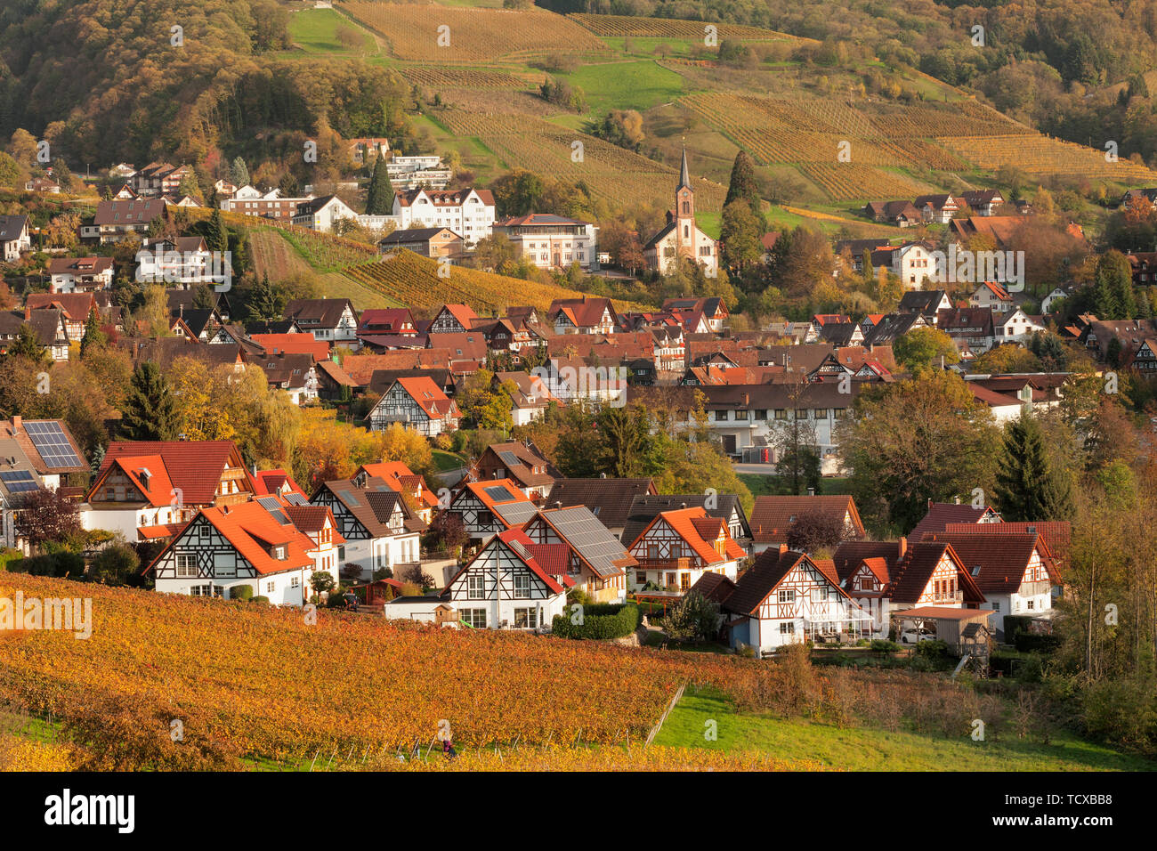 Maisons à colombages, Sasbachwalden, Forêt-Noire, Bade-Wurtemberg, Allemagne, Europe Banque D'Images