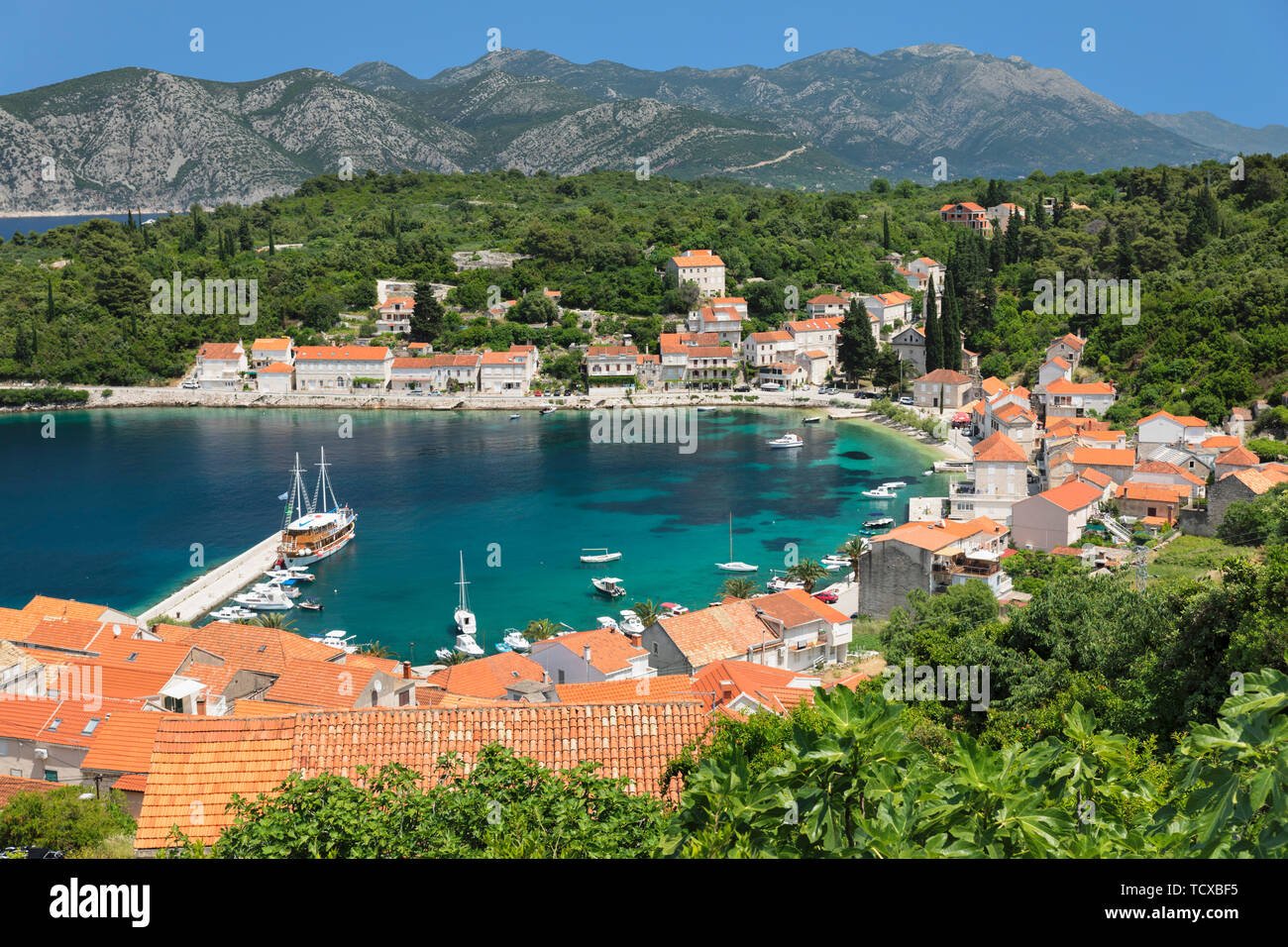 Vue sur Rasisce, île de Korcula, la mer Adriatique, la Dalmatie, Croatie, Europe Banque D'Images