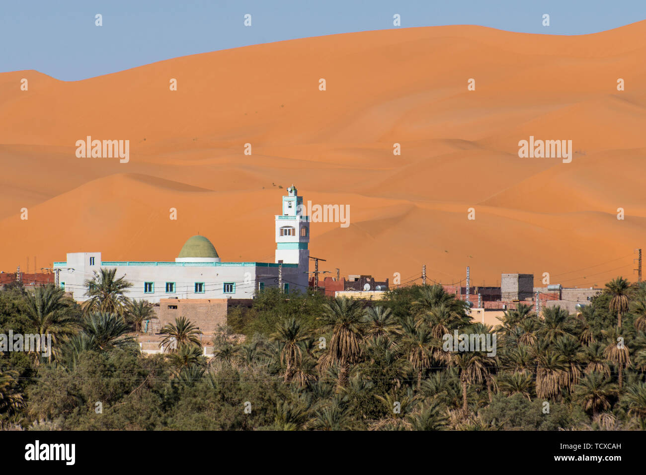 Vue sur le palm oasis de Beni Abbes, désert du Sahara, l'Algérie, l'Afrique du Nord, Afrique Banque D'Images