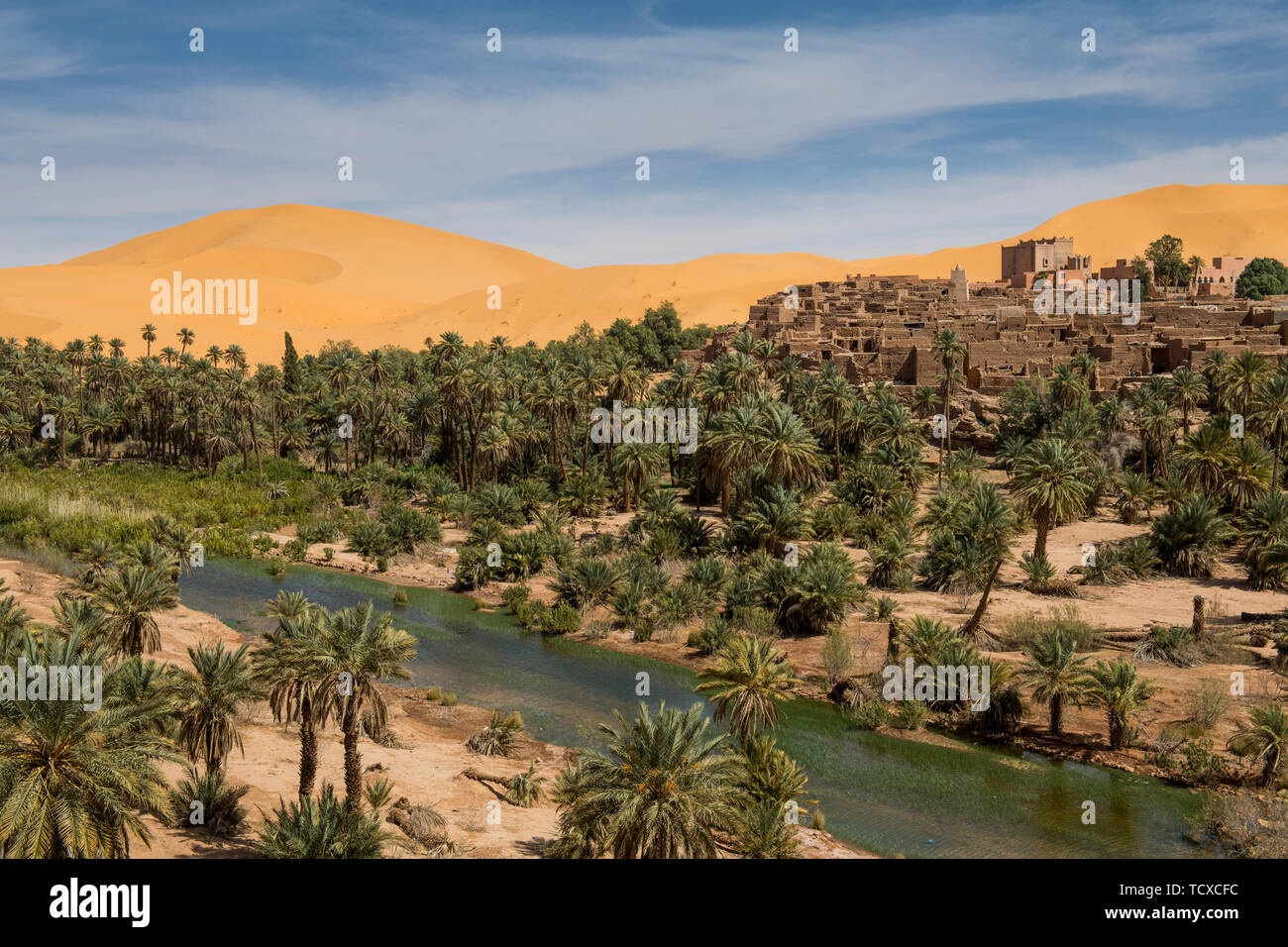 Vue sur l'Oasis de Taghit, ouest de l'Algérie, l'Afrique du Nord, Afrique Banque D'Images