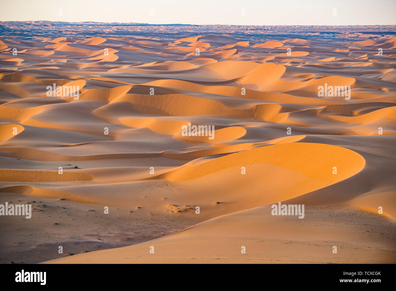Coucher du soleil dans des dunes de sable du désert du Sahara, Timimoun, dans l'ouest de l'Algérie, l'Afrique du Nord, Afrique Banque D'Images
