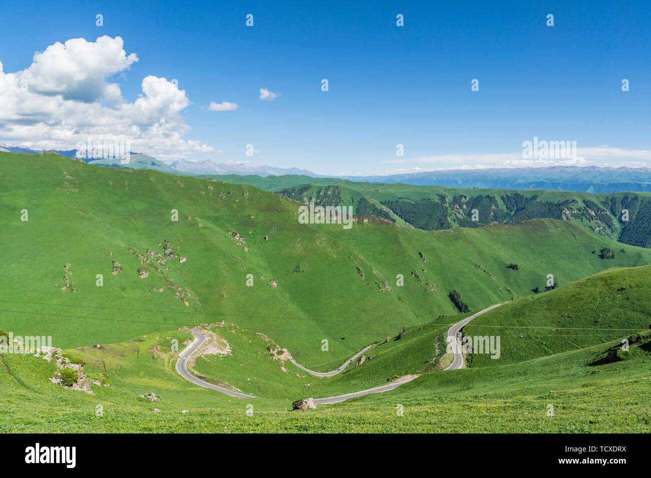 Les prairies alpines le long de la G217 Duku sous l'autoroute l'été, ciel bleu et nuages blancs dans le Xinjiang, Chine Banque D'Images