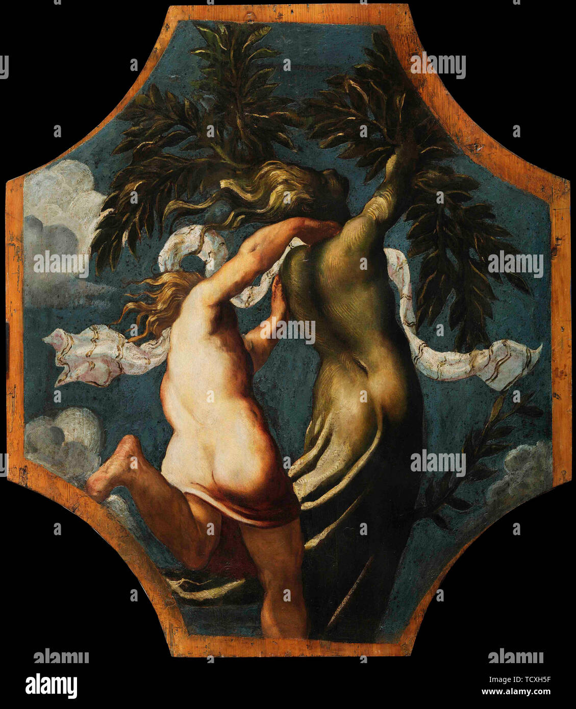 Apollon et Daphné, ca 1541. Organisateur : Tintoretto, Jacopo (1518-1594). Banque D'Images