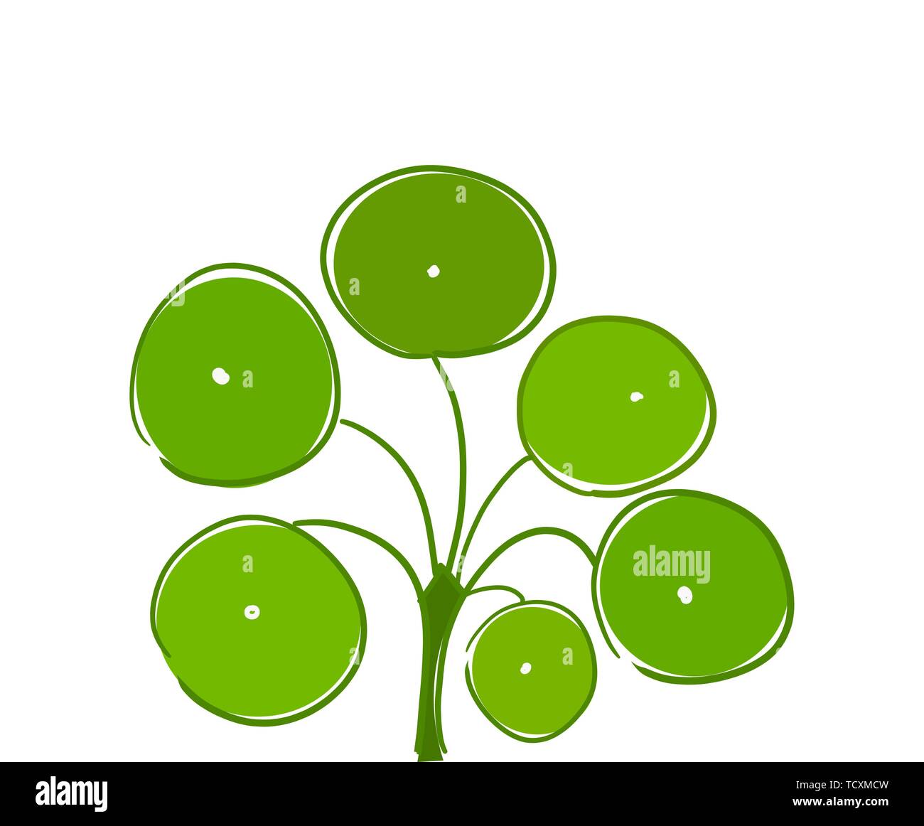 Pilea peperomioides aussi connu comme plante d'argent. Illustration style Doodle Illustration de Vecteur