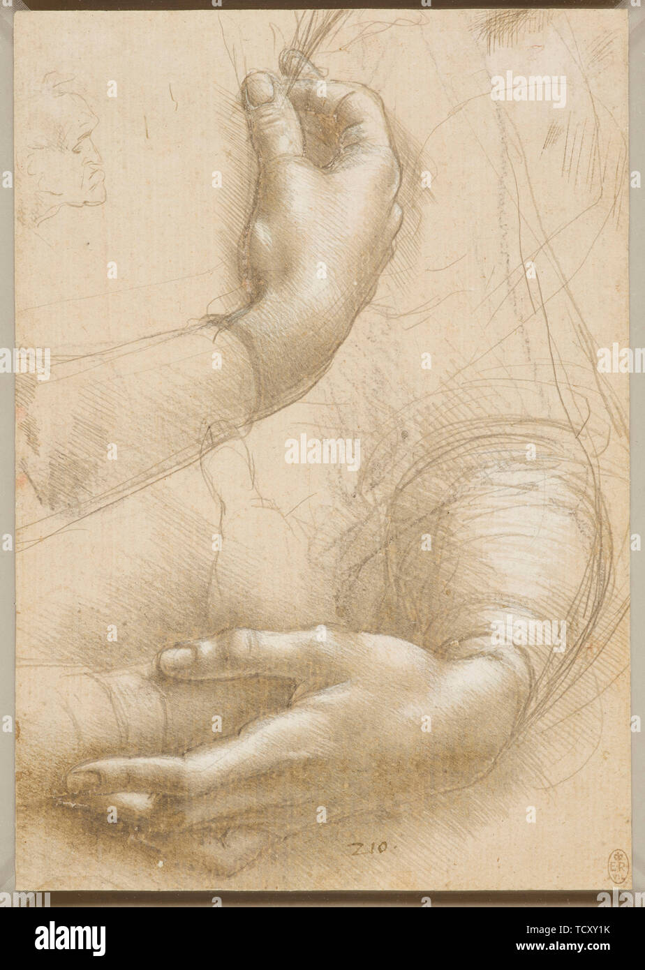 Les bras et les mains, c. 1480. Organisateur : Leonardo da Vinci (1452-1519). Banque D'Images