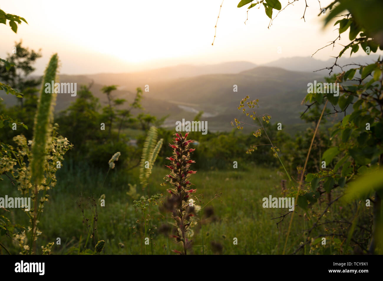 Beau paysage dans les montagnes avec le soleil à l'aube. Montagnes à l'heure de coucher du soleil. L'Azerbaïdjan montagnes du Caucase. Agsu pass. Baskal. Nature Banque D'Images
