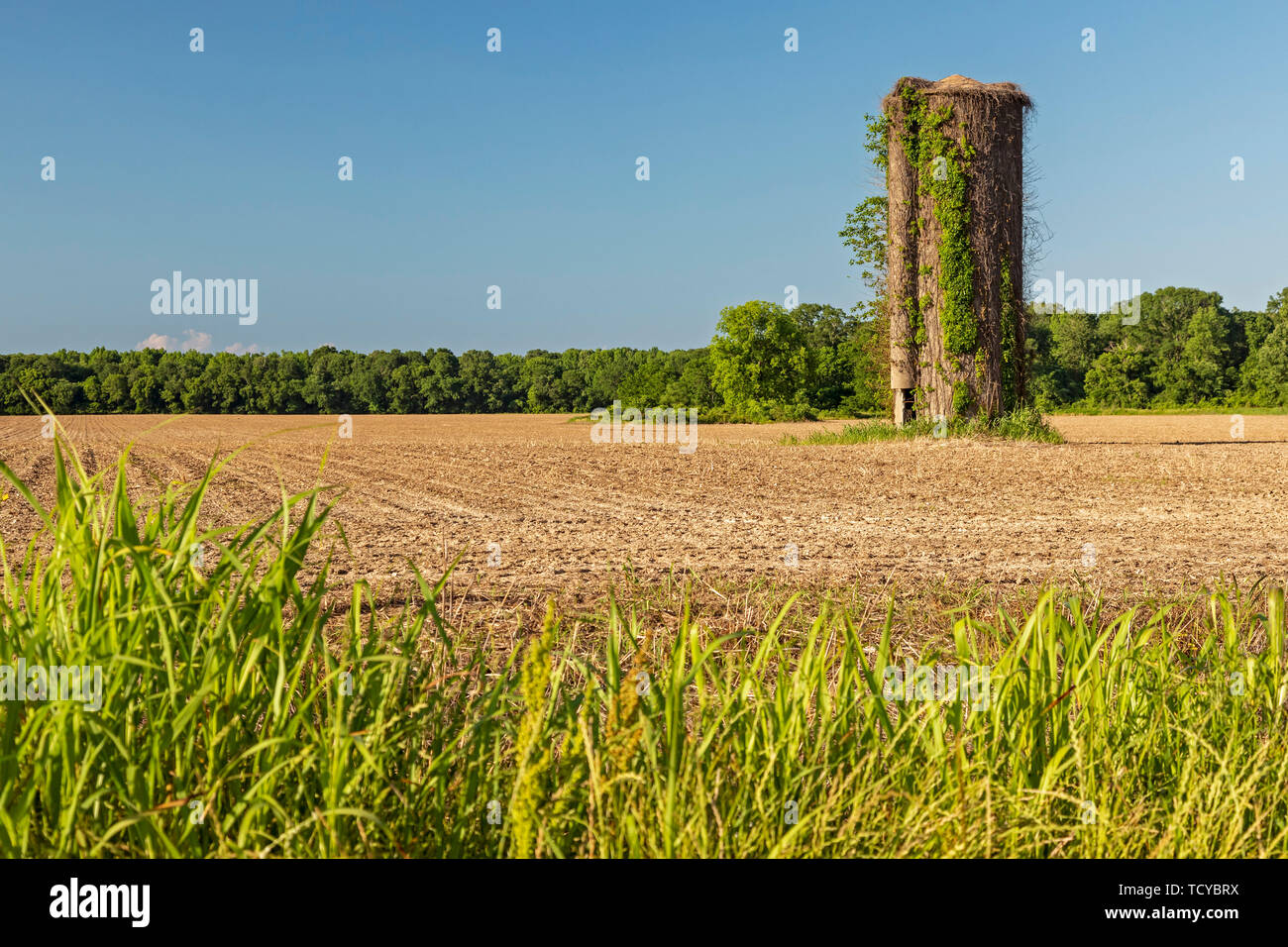 Lorman, Mississippi - un vieux silo dans un champ fraîchement labouré farm. Banque D'Images