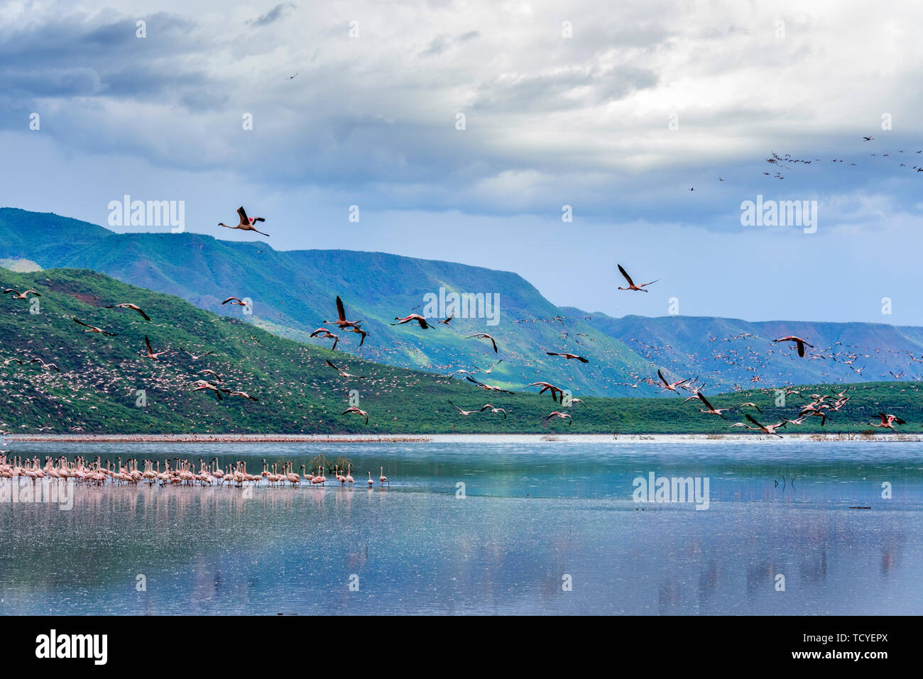 Bogoria, l. Banque D'Images