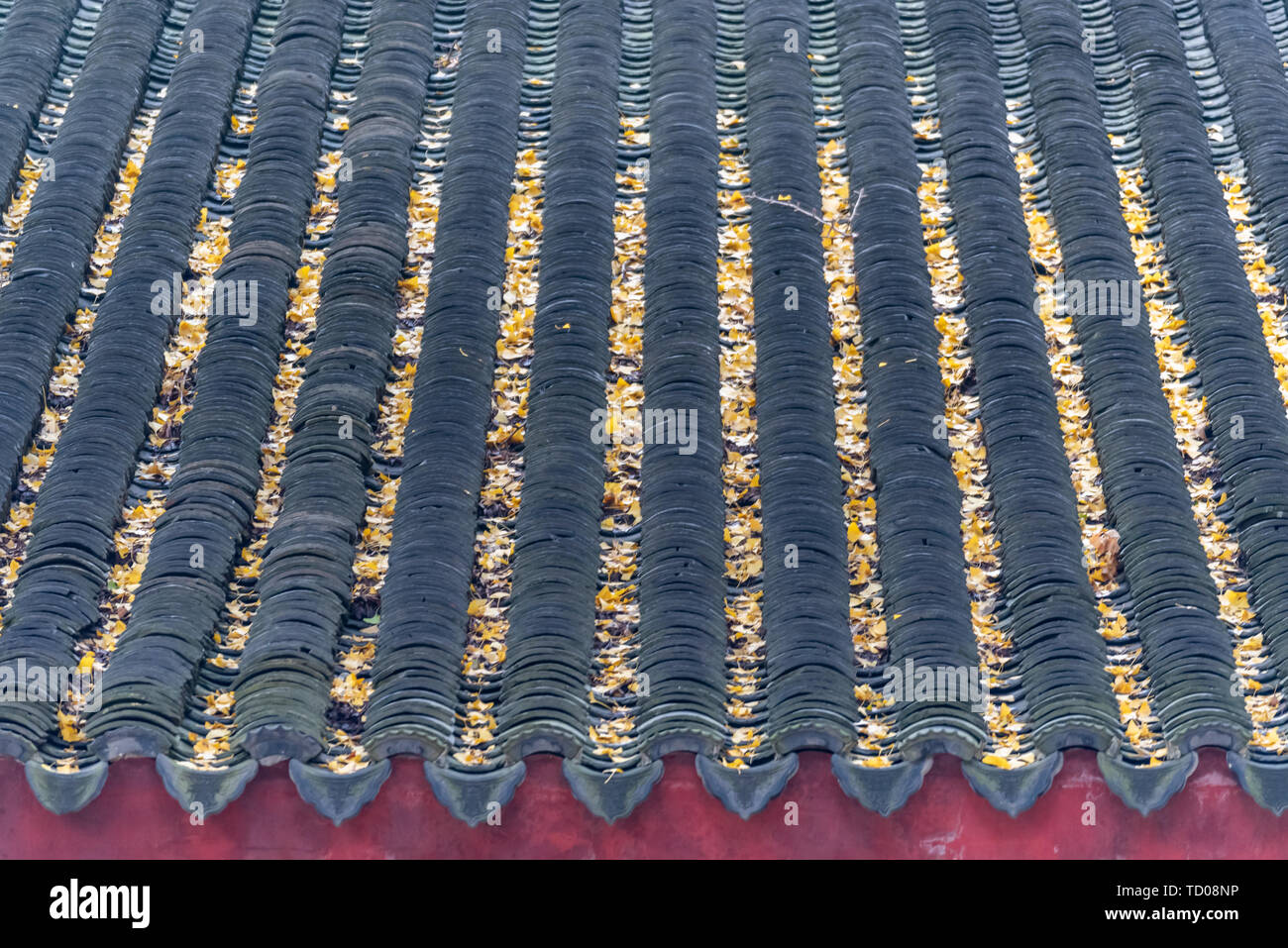 Les avant-toits et toits de Sea Breeze Spa Resort Hotel Temple Building à Suzhou Banque D'Images